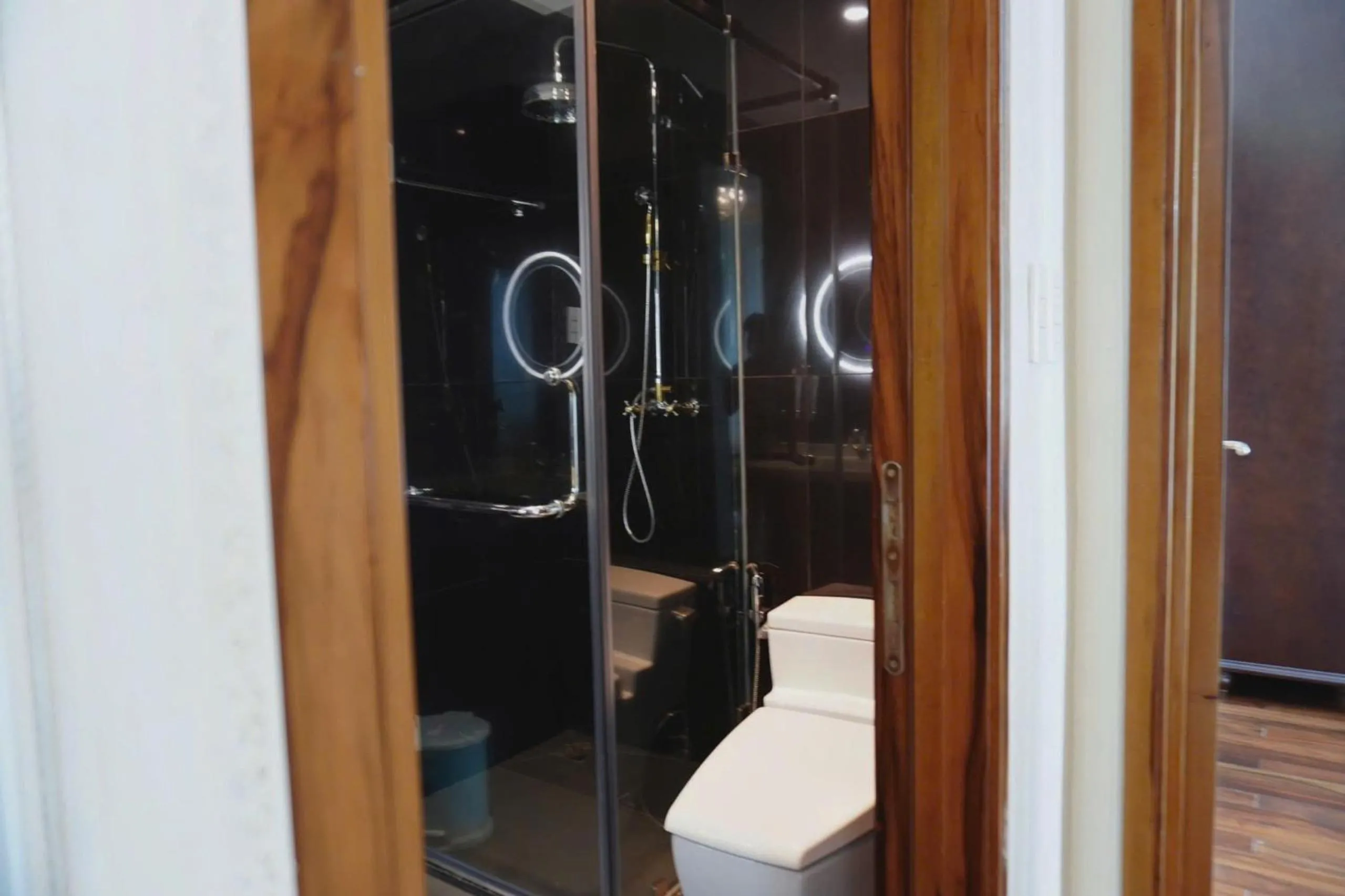Léman Luxury Apartment District 3 HCMC