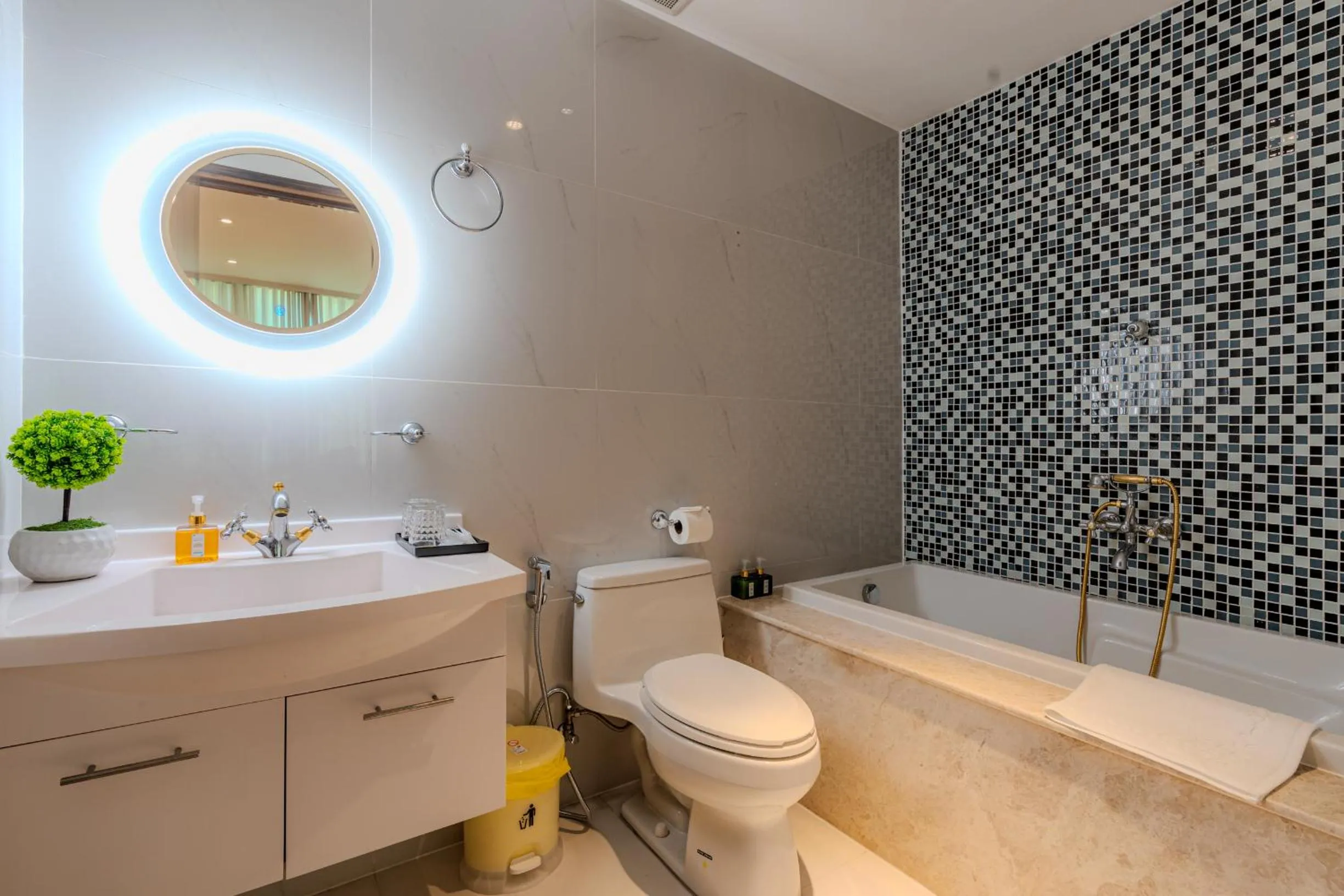 Léman Luxury Apartment District 3 HCMC