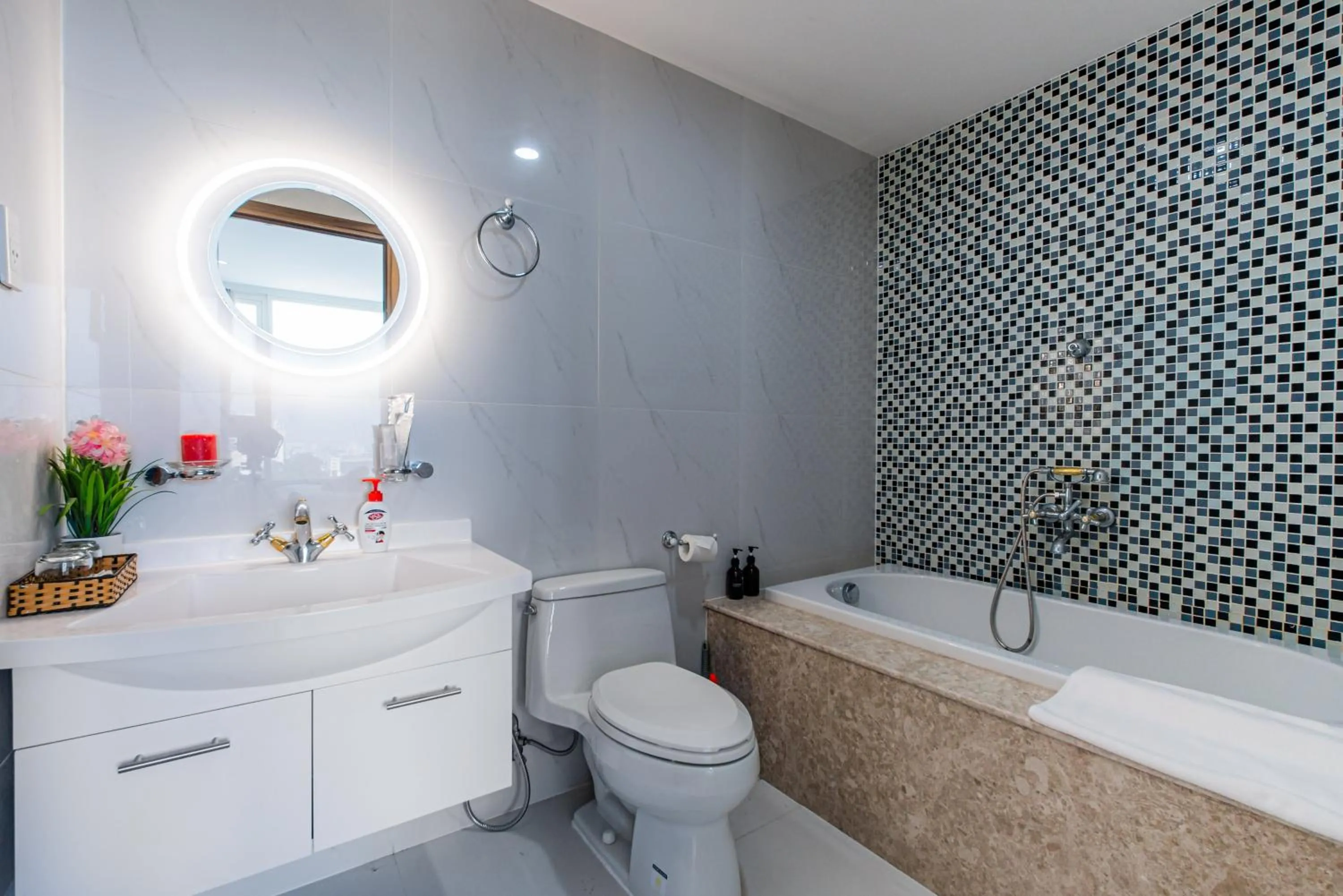Léman Luxury Apartment District 3 HCMC
