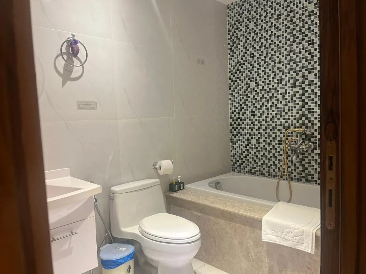 Léman Luxury Apartment District 3 HCMC