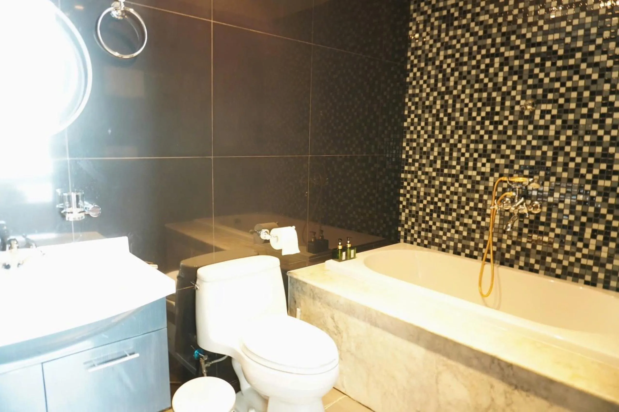 Léman Luxury Apartment District 3 HCMC