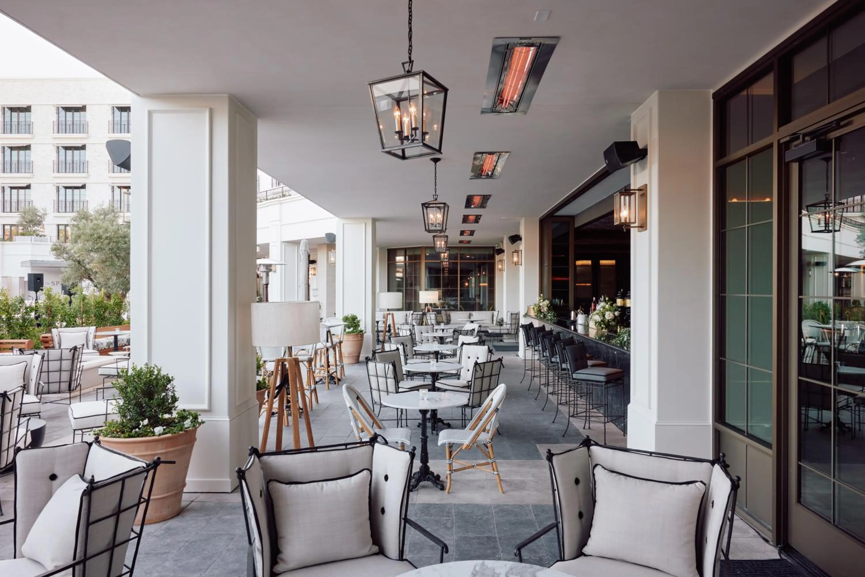 The Global Ambassador