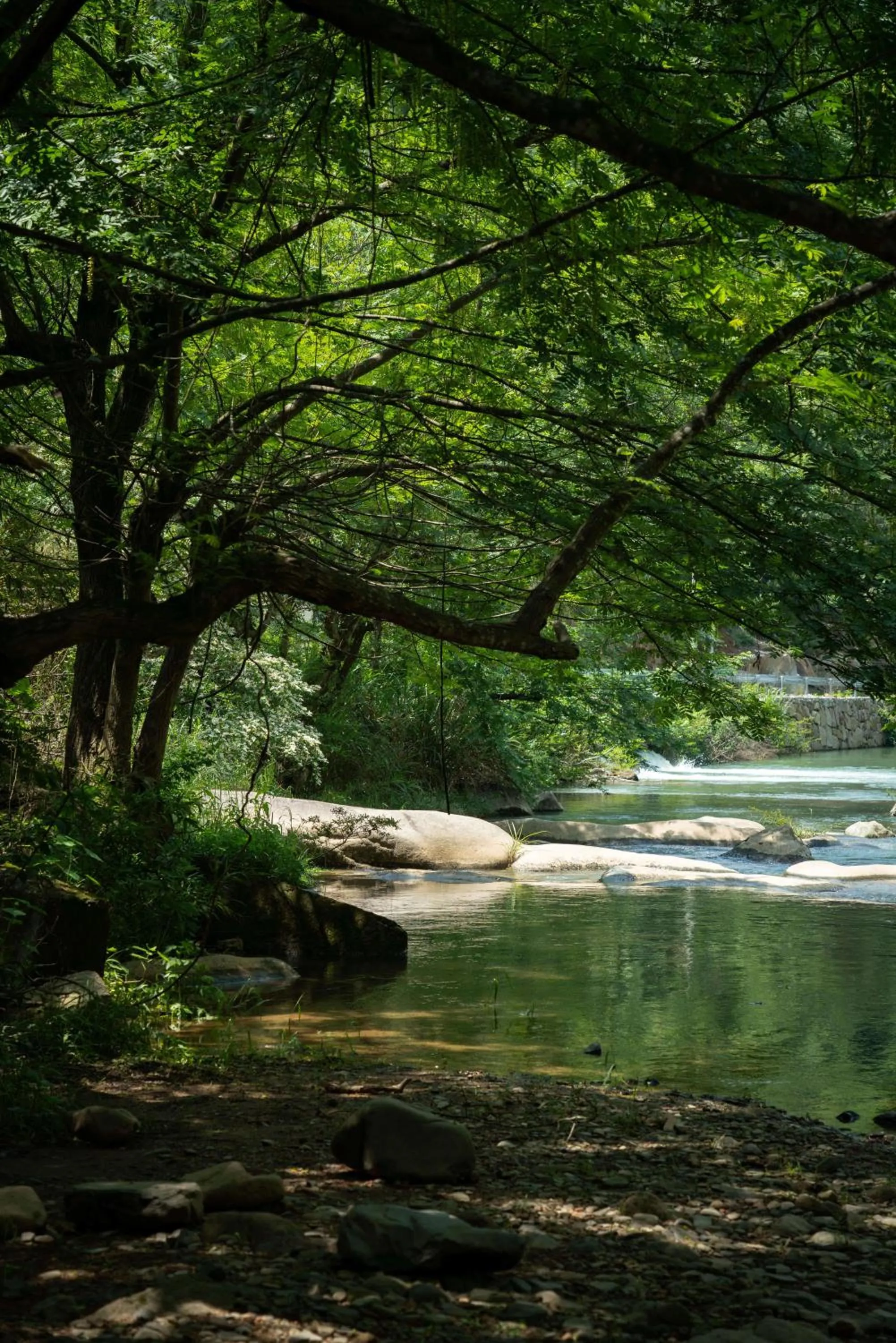 Natural landscape in Yakamoz Qianchuan Hotel