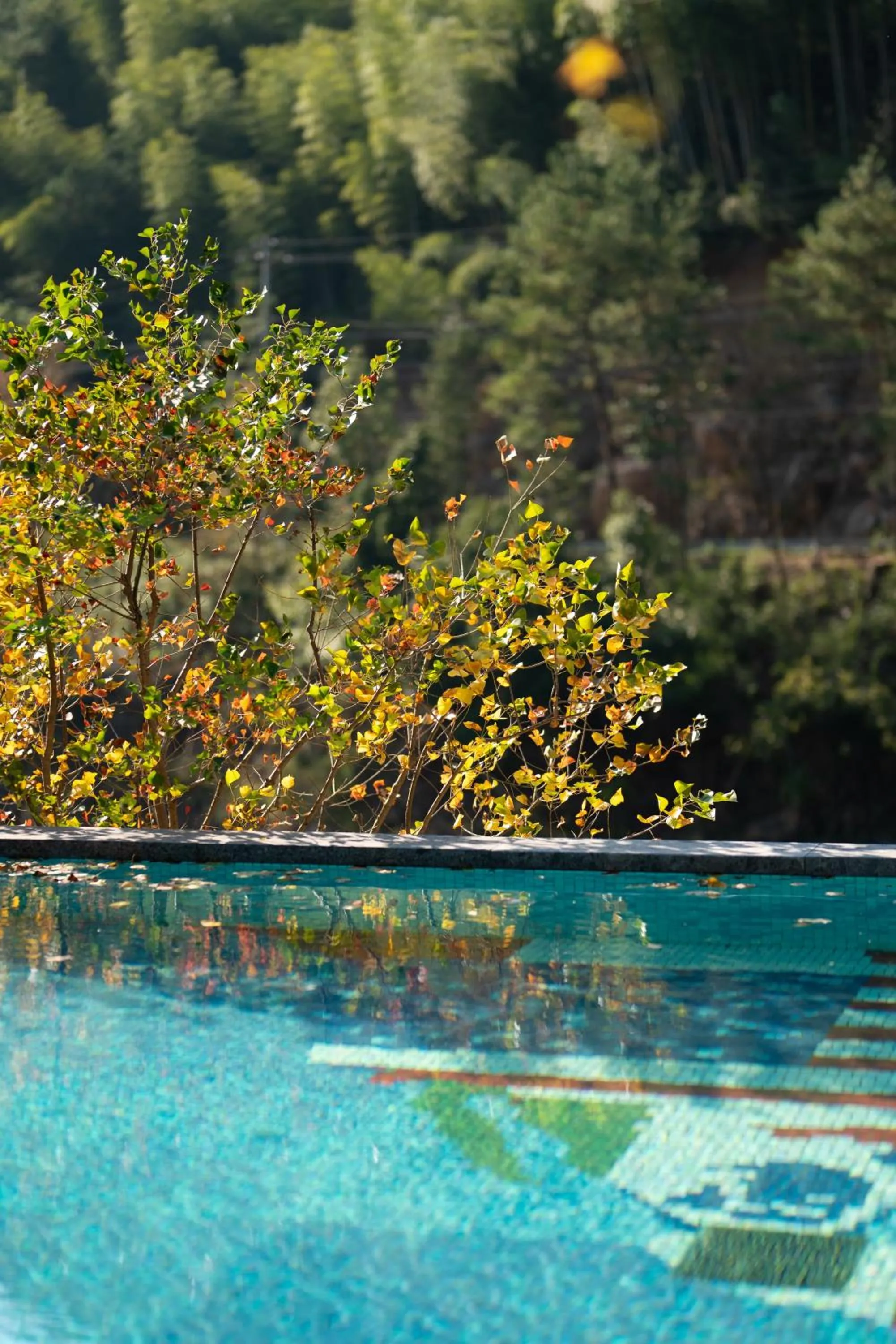 Swimming pool in Yakamoz Qianchuan Hotel