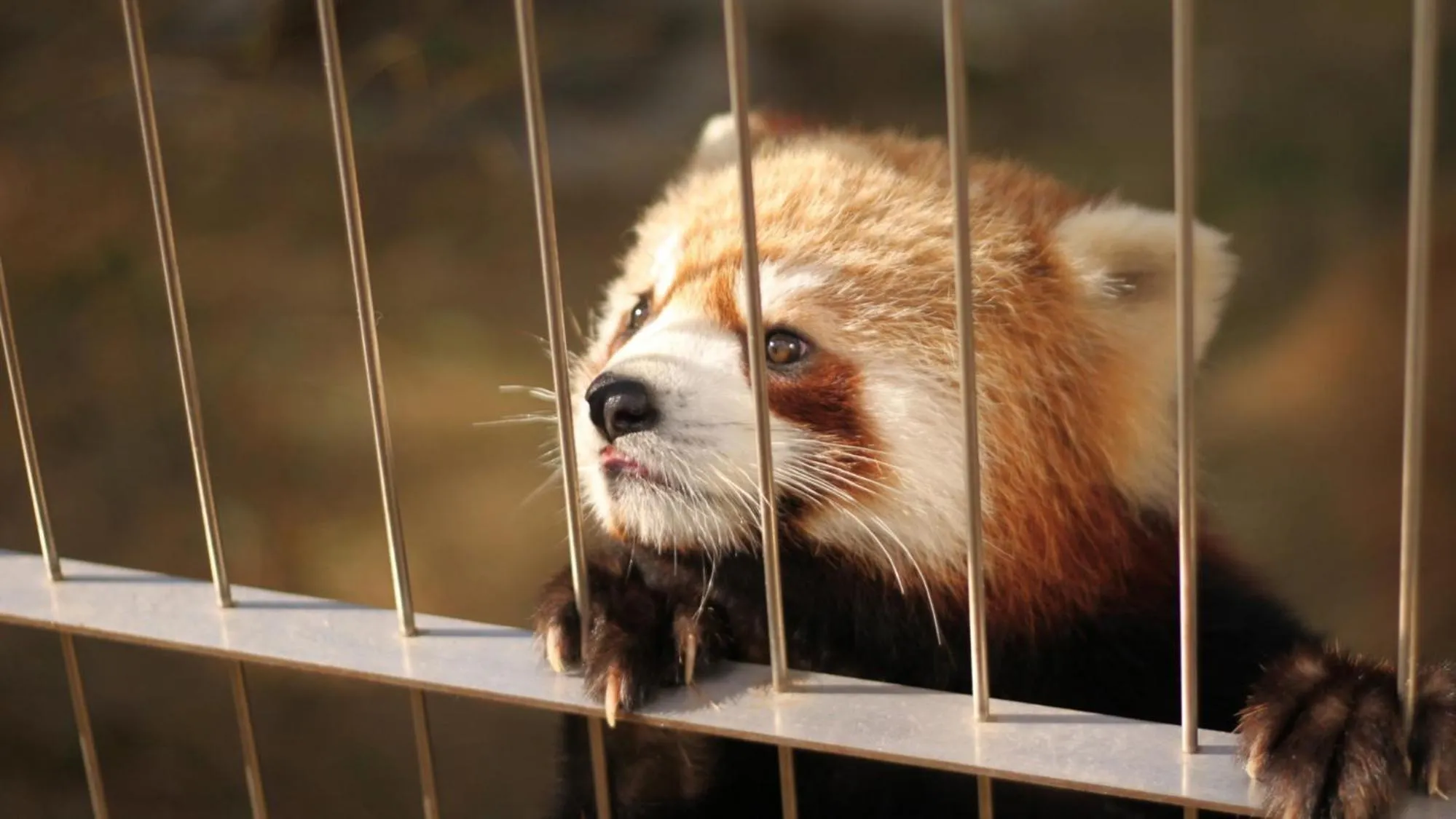 Nearby landmark in Toyoko Inn Tokuyama-eki Kita-guchi