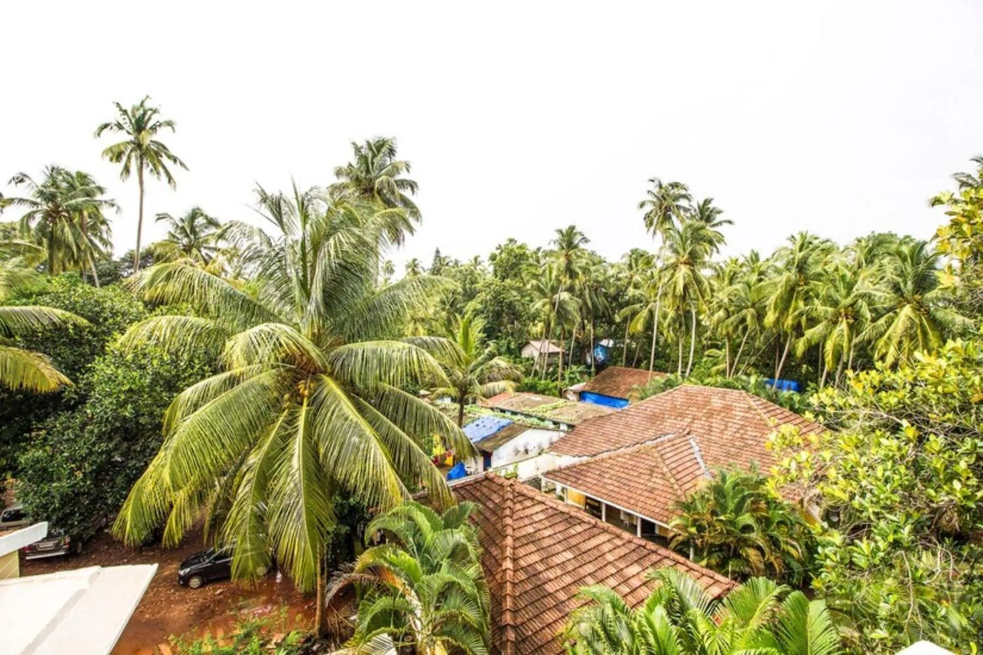 Natural landscape in FabHotel The Sky