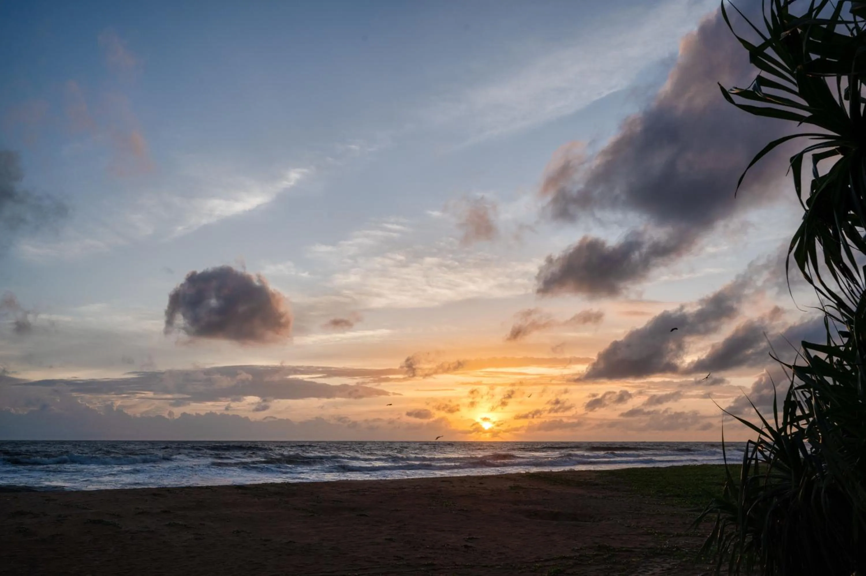 Beach in Kirana - A Santani Villa, Bentota