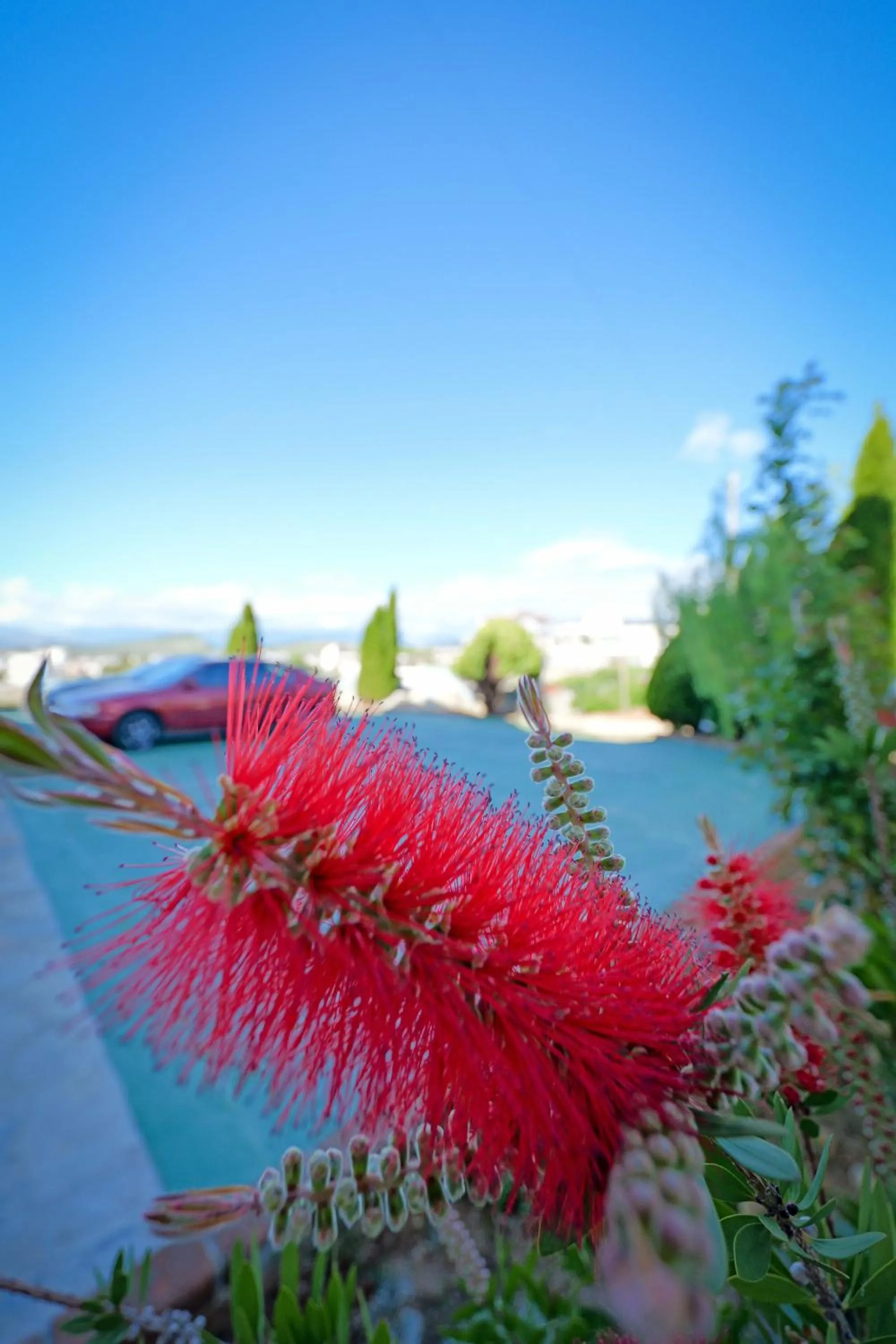 Spring in Vila Antica