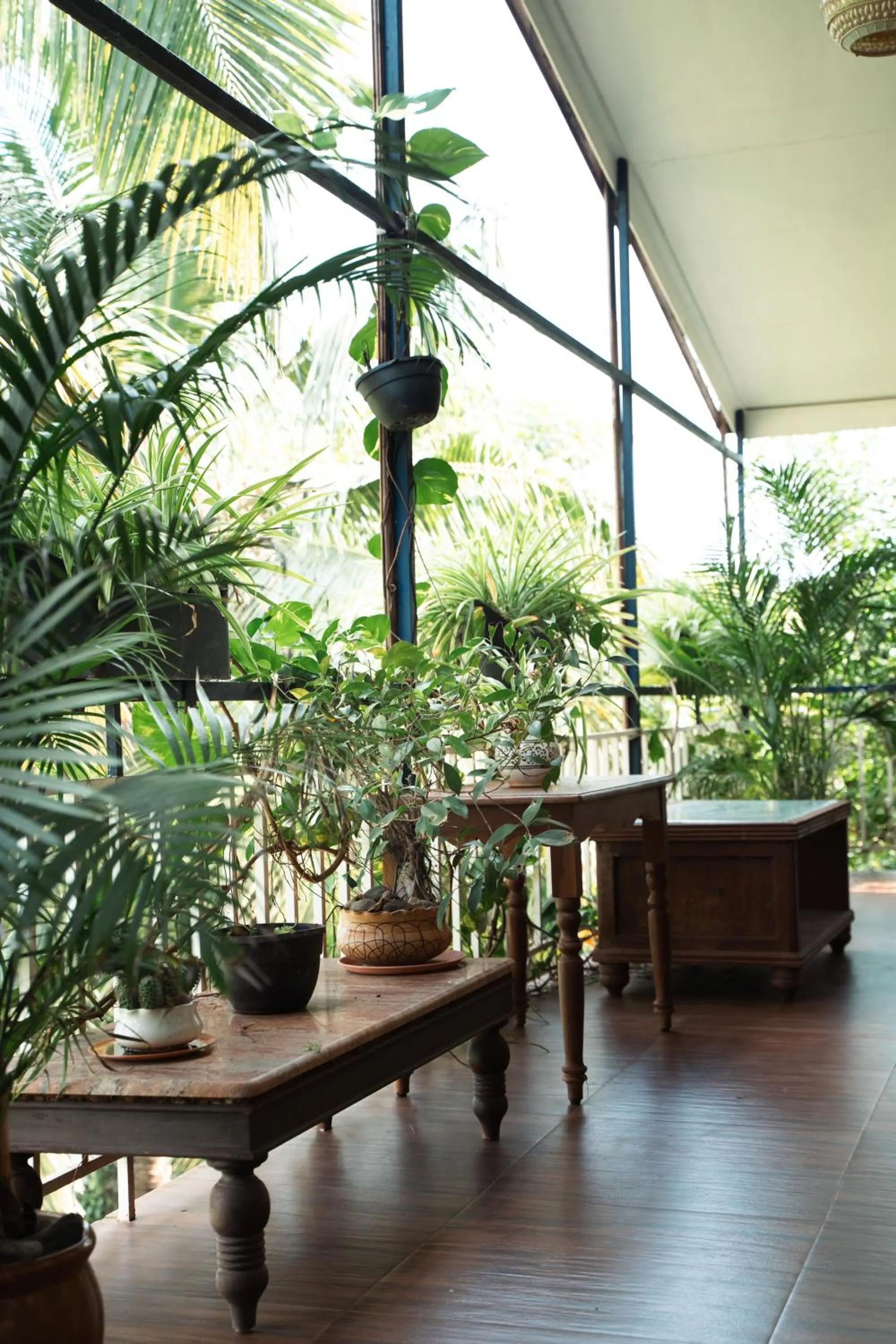 Balcony/Terrace in Nasya Beachside Cottages