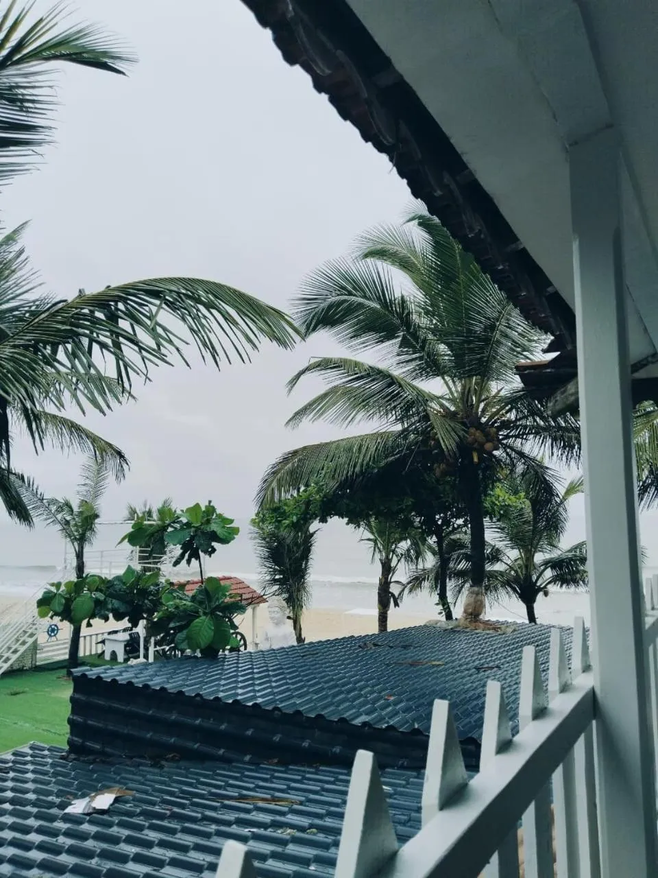 Day in Nasya Beachside Cottages