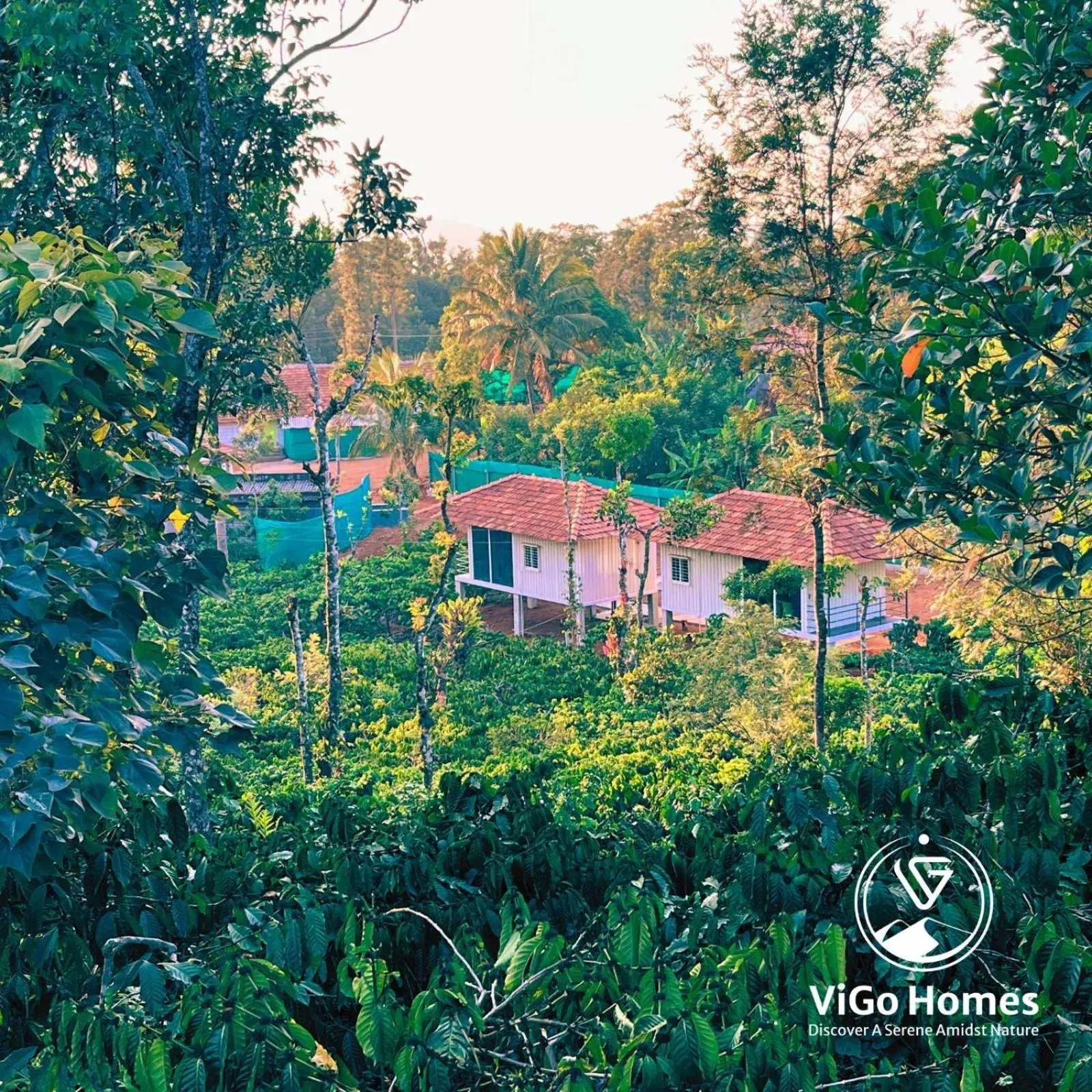 ViGo Homes ViGo Homes
