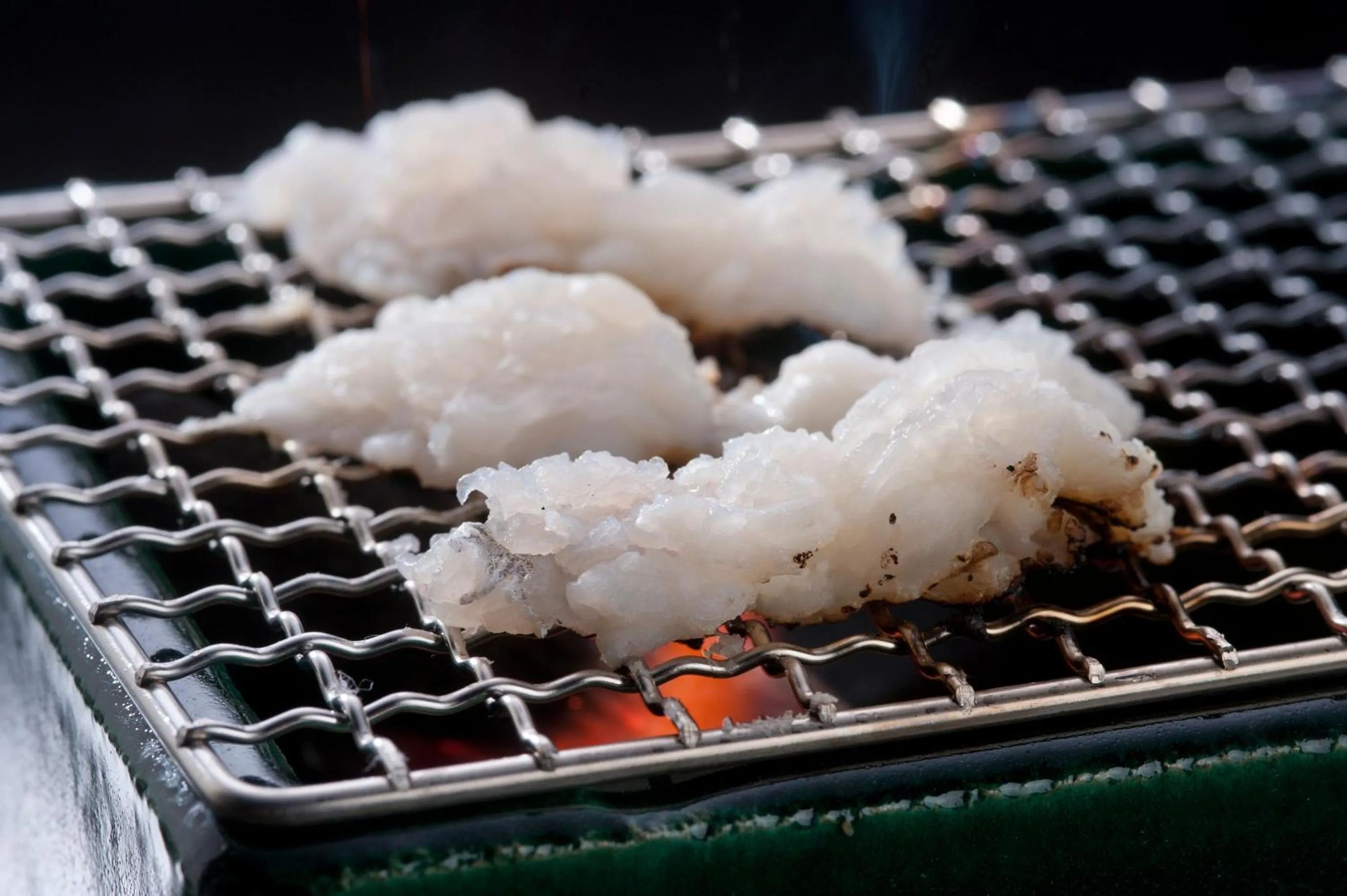 Food close-up in Ryokan Sumiya Kihoan