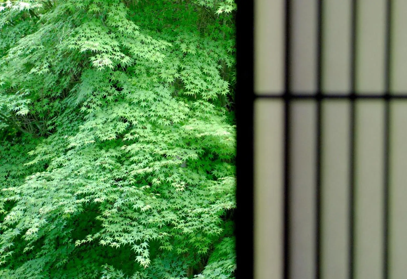 Day in Ryokan Sumiya Kihoan