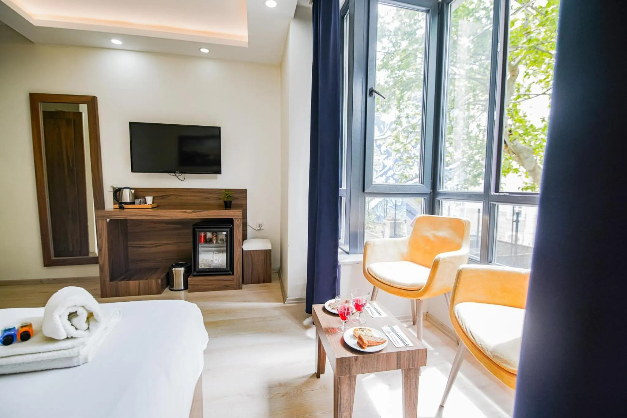 TV and multimedia in MITANI SUITES