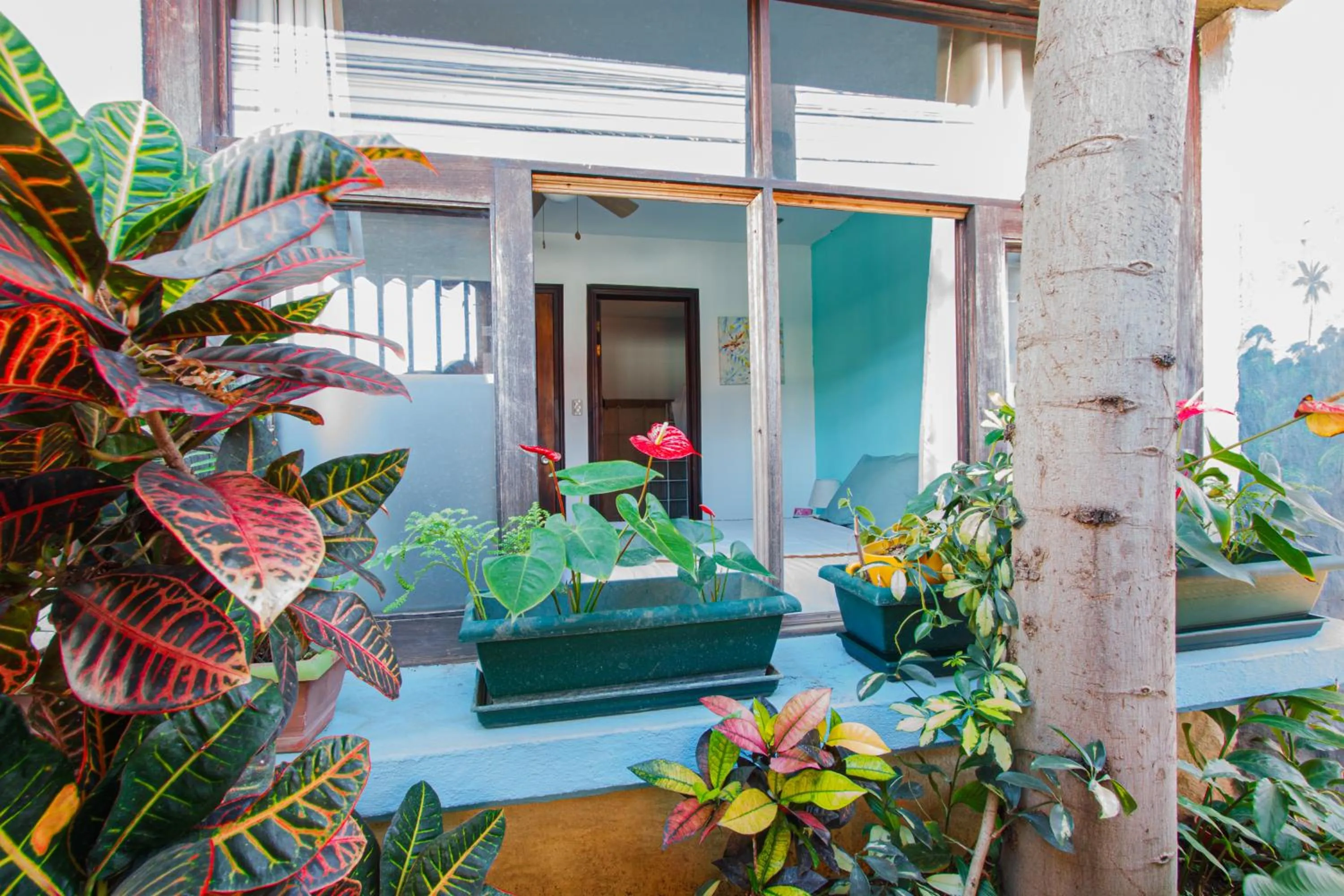 Posada Nena Santa Ana