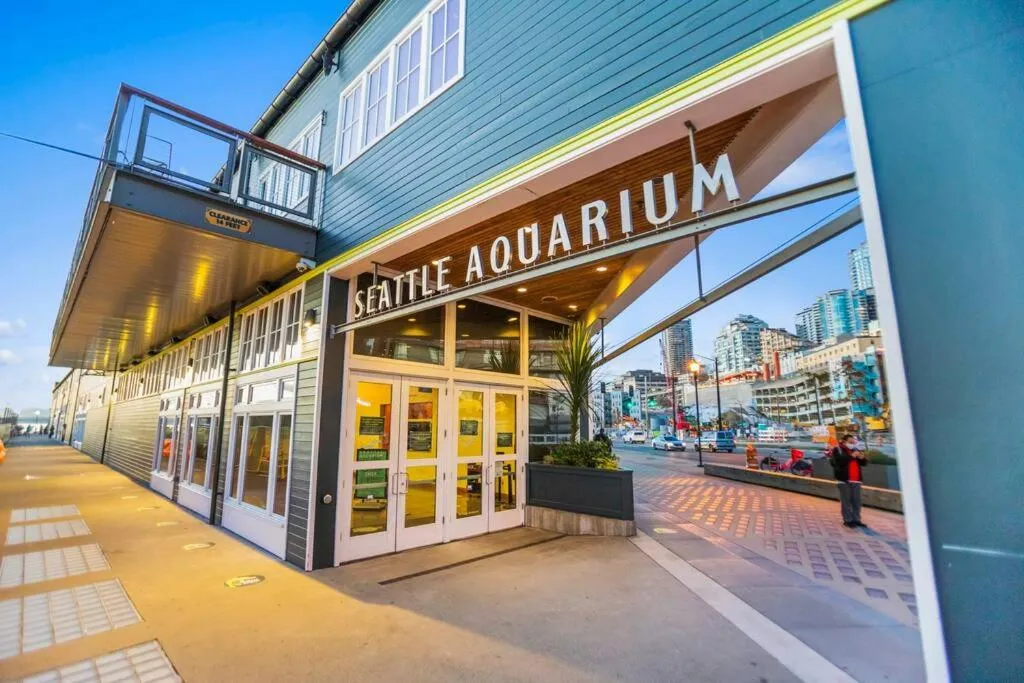 Beacon Hill Retro - Central Location.