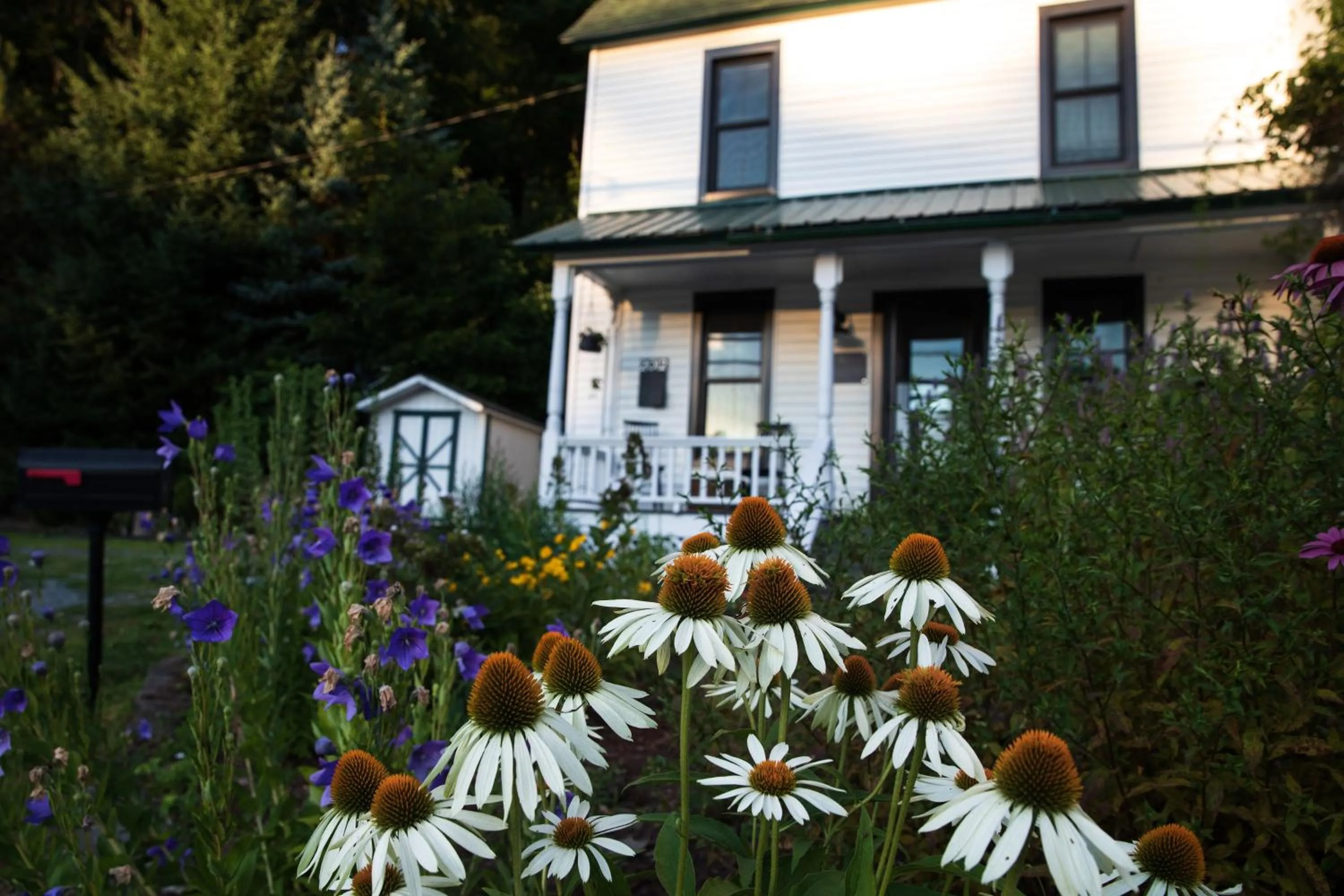 Property building in The Yarra
