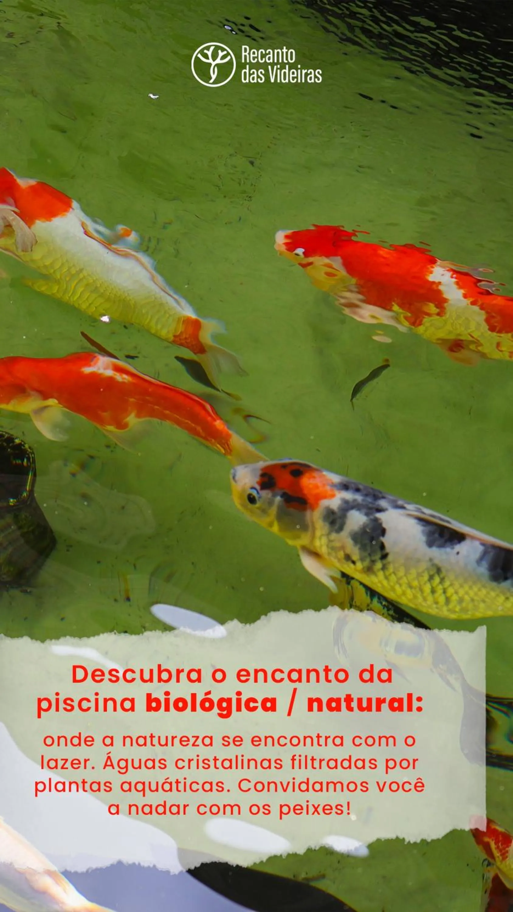 Estúdio em Contêiner no Bosque