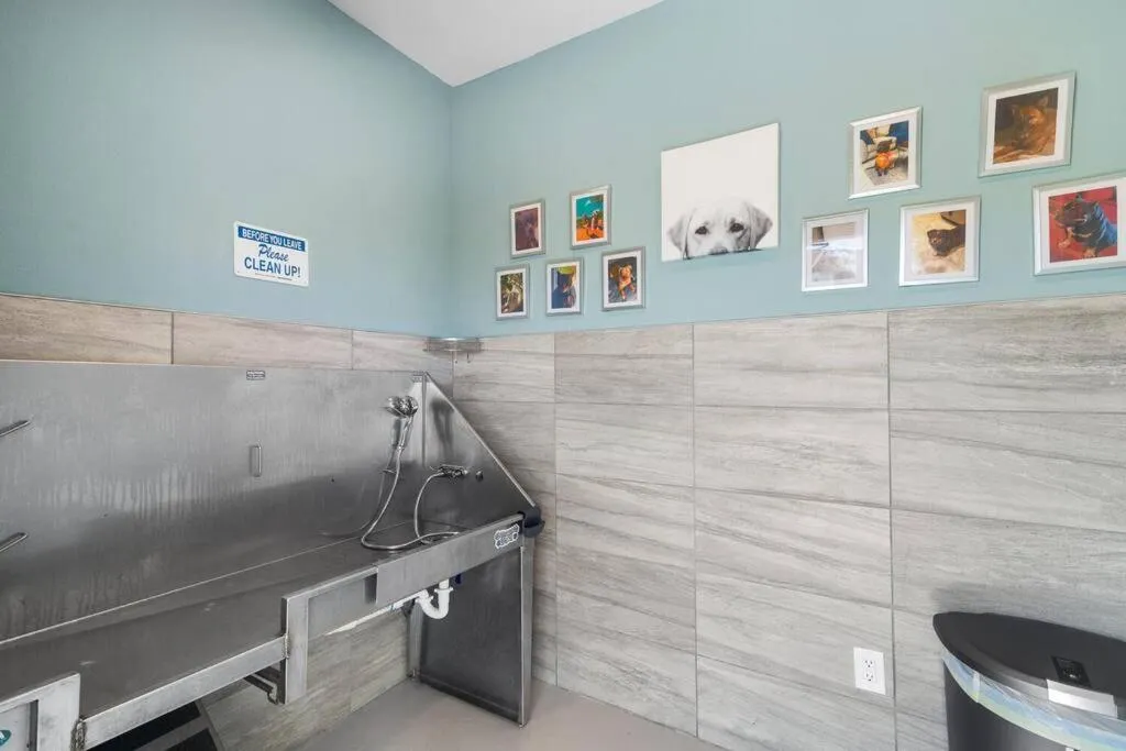 Elegant 1BR/1BA Condo with Pool, Gym and Laundry