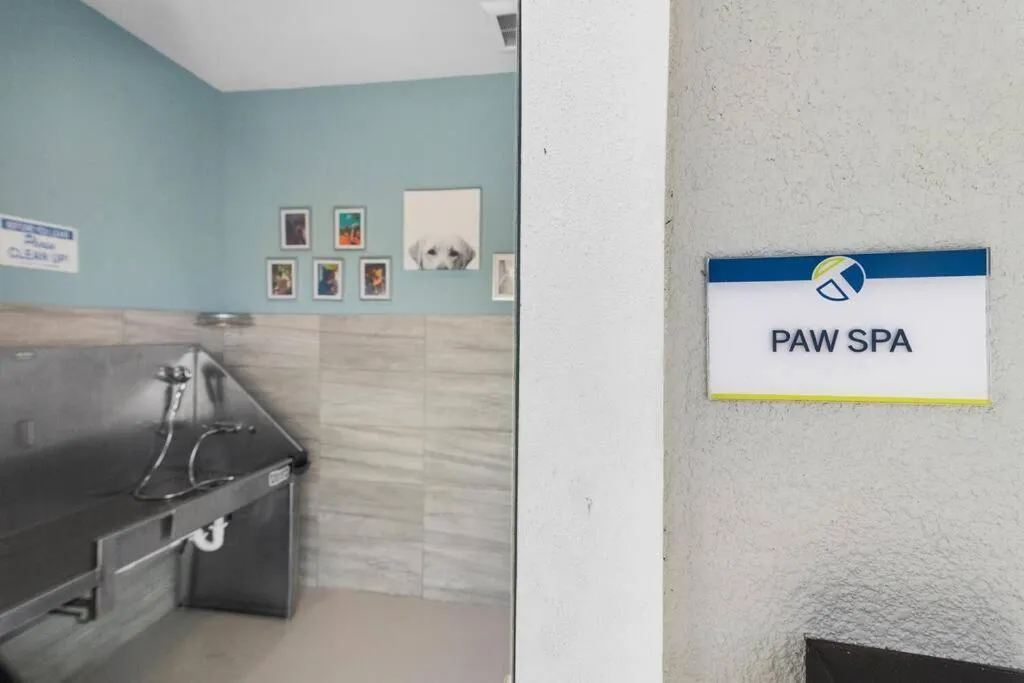 Elegant 1BR/1BA Condo with Pool, Gym and Laundry