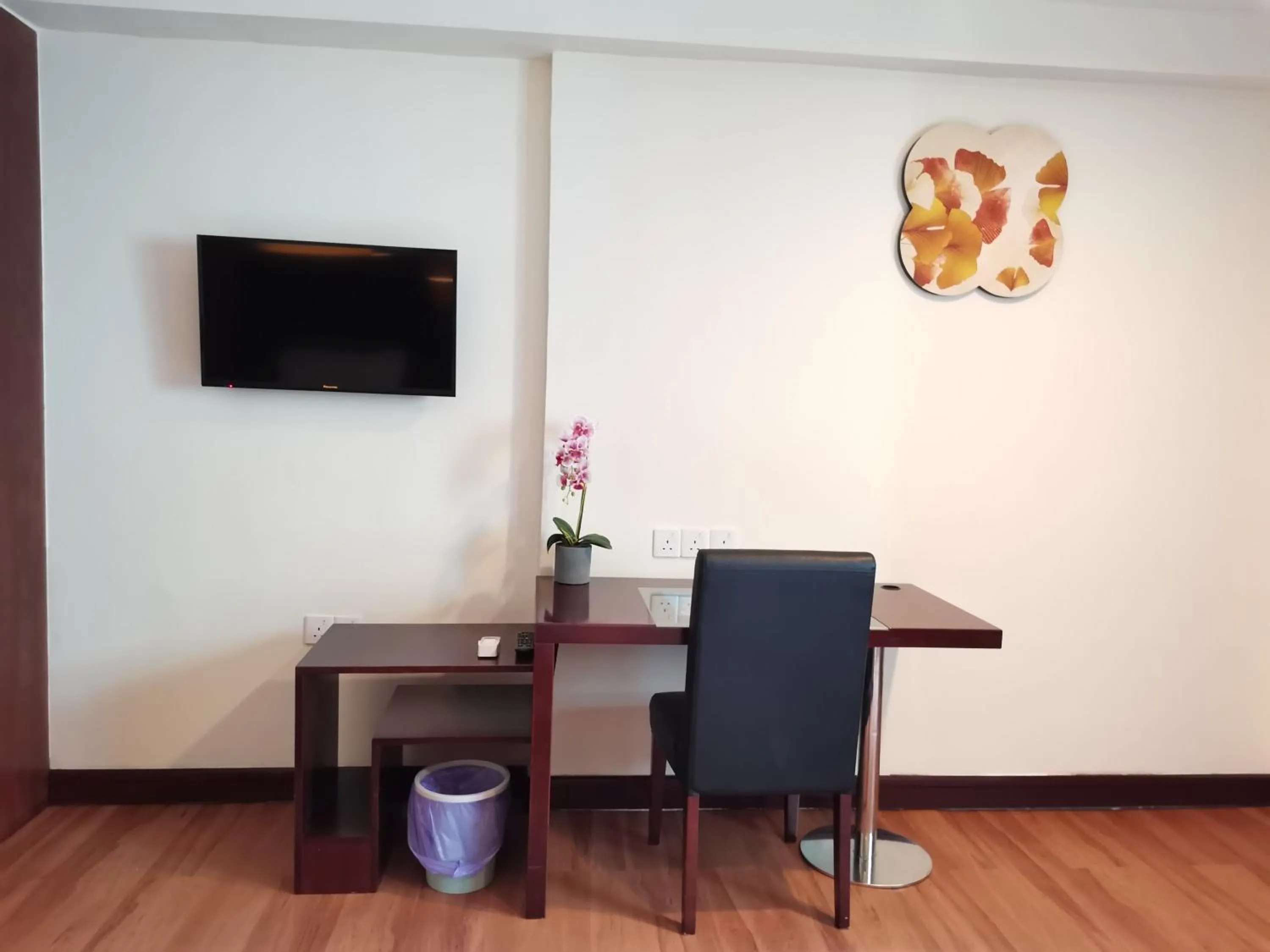 TV and multimedia in Greenage MingSuite 明绿时代套房 Kota Kinabalu 亚庇市中心
