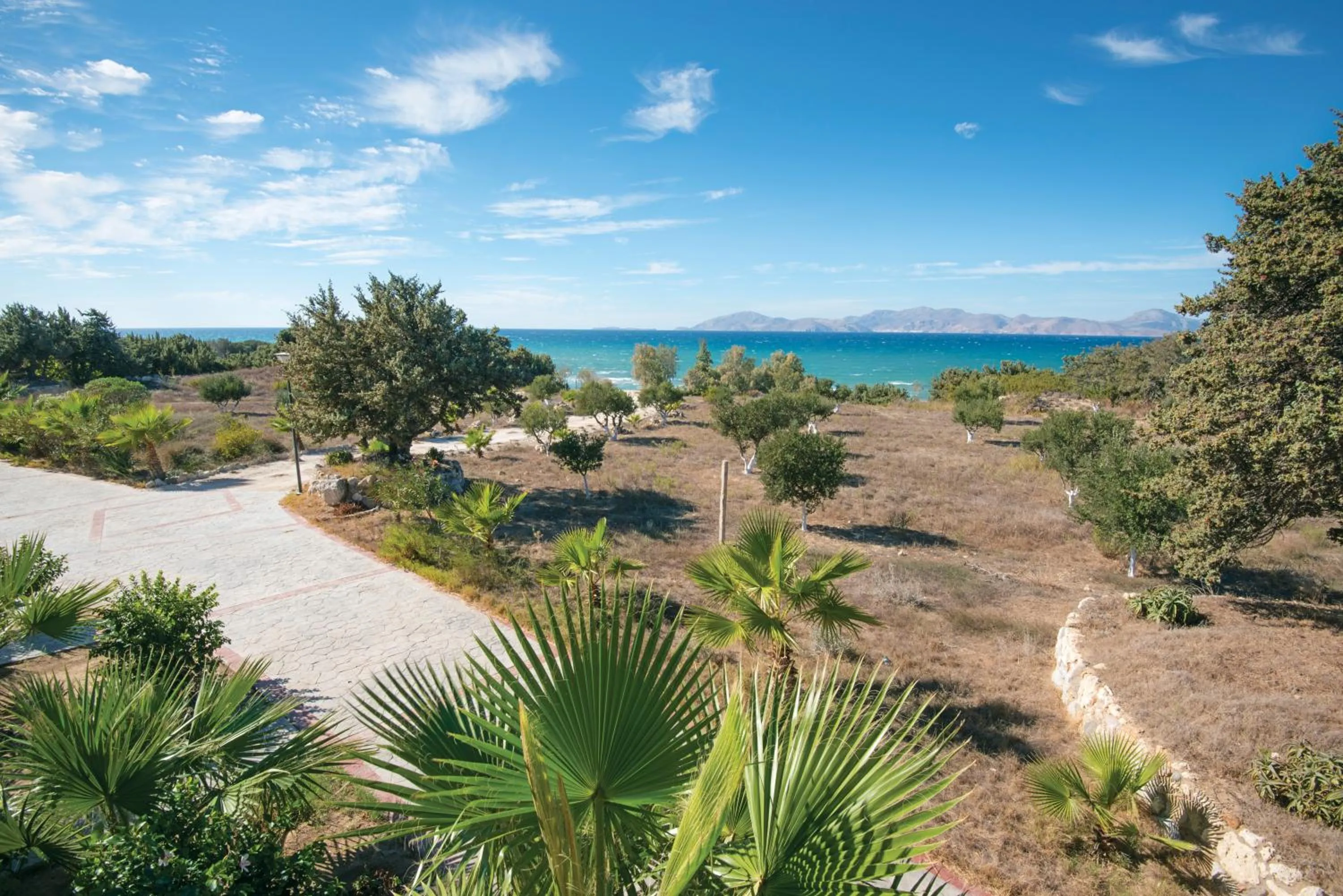 Garden in Achilleas Beach Hotel Adults Only