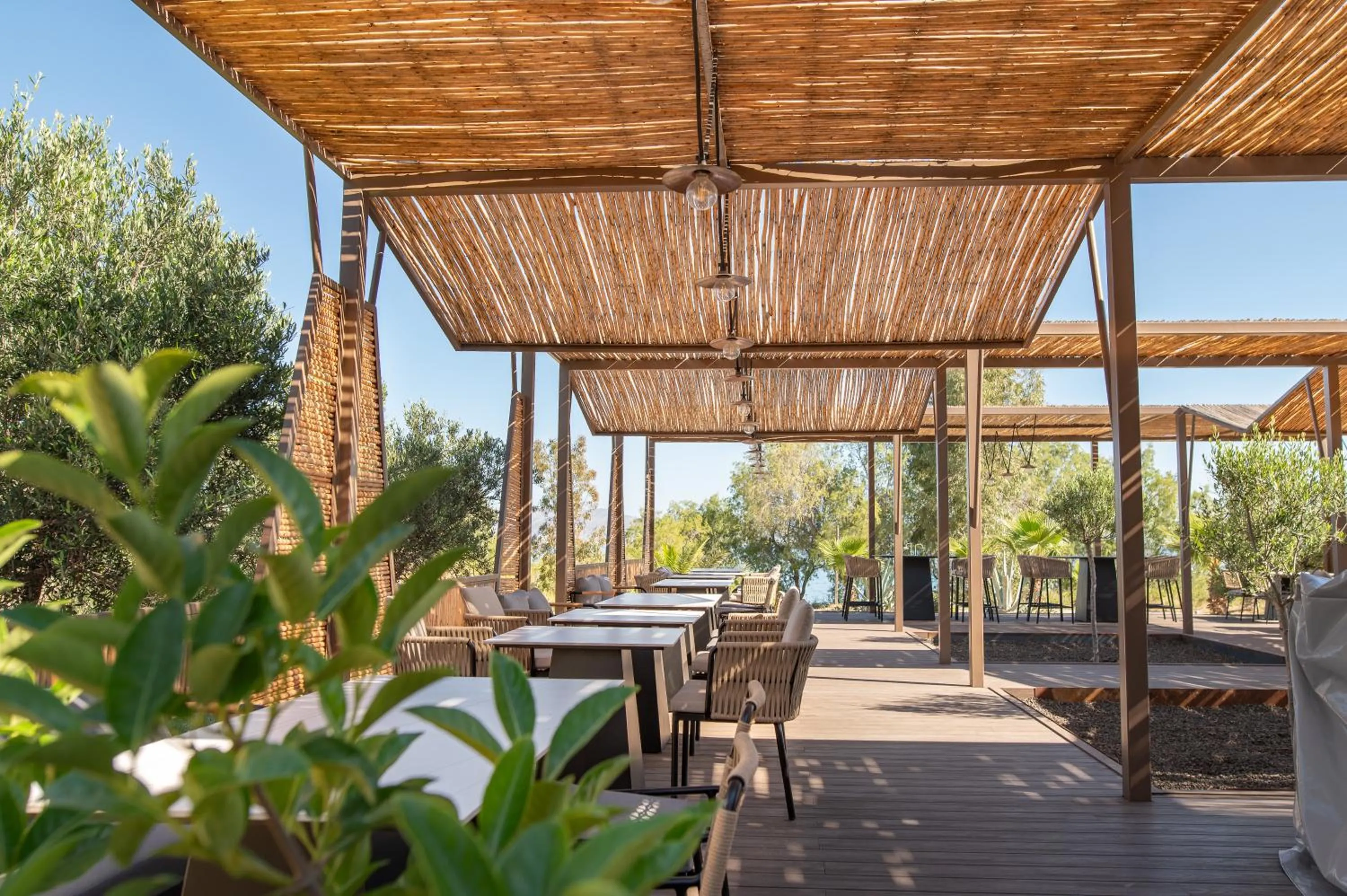 Restaurant/places to eat in Achilleas Beach Hotel Adults Only