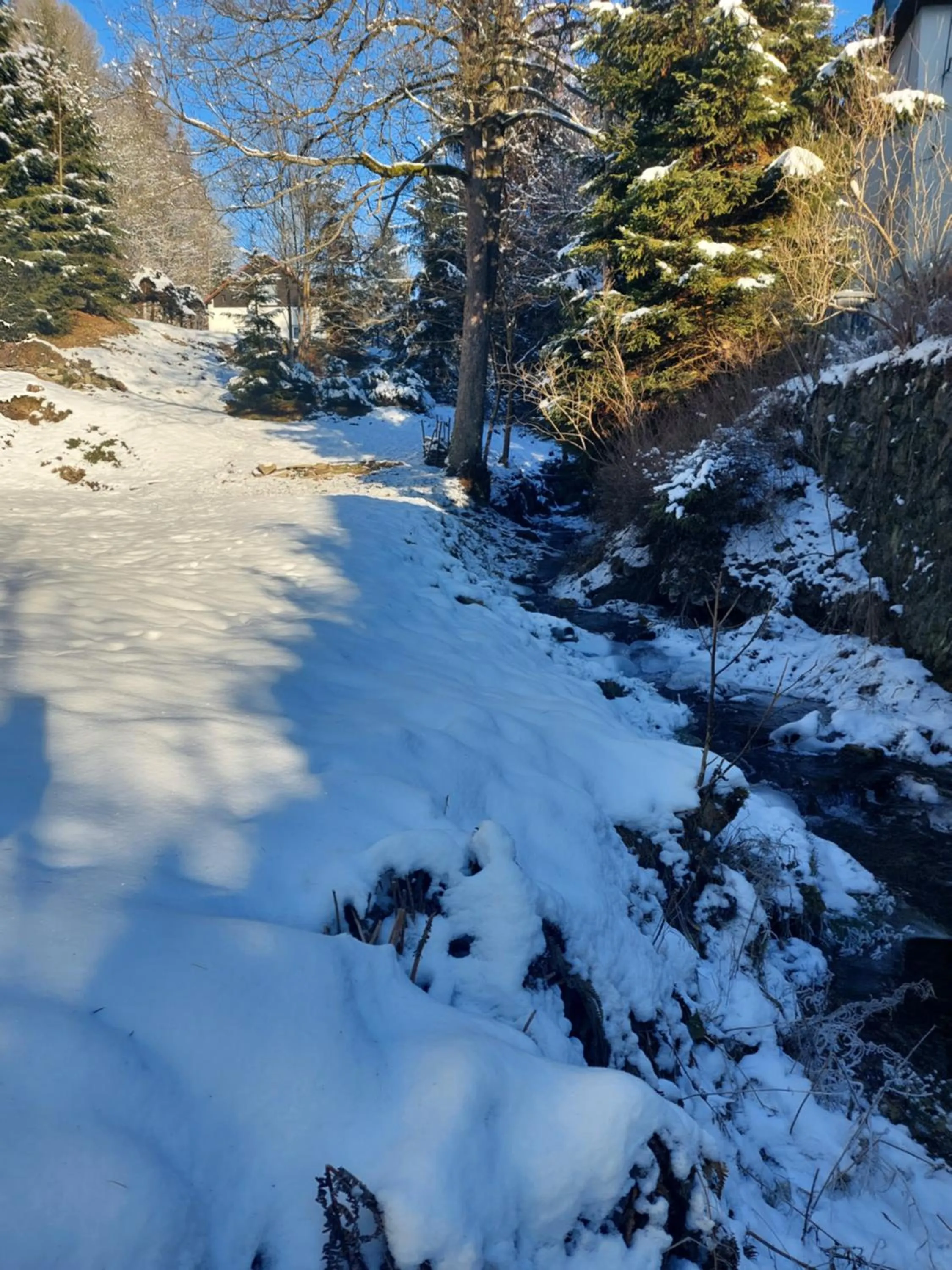 Natural landscape in Rezidence GreenHill ⃰ ⃰ ⃰