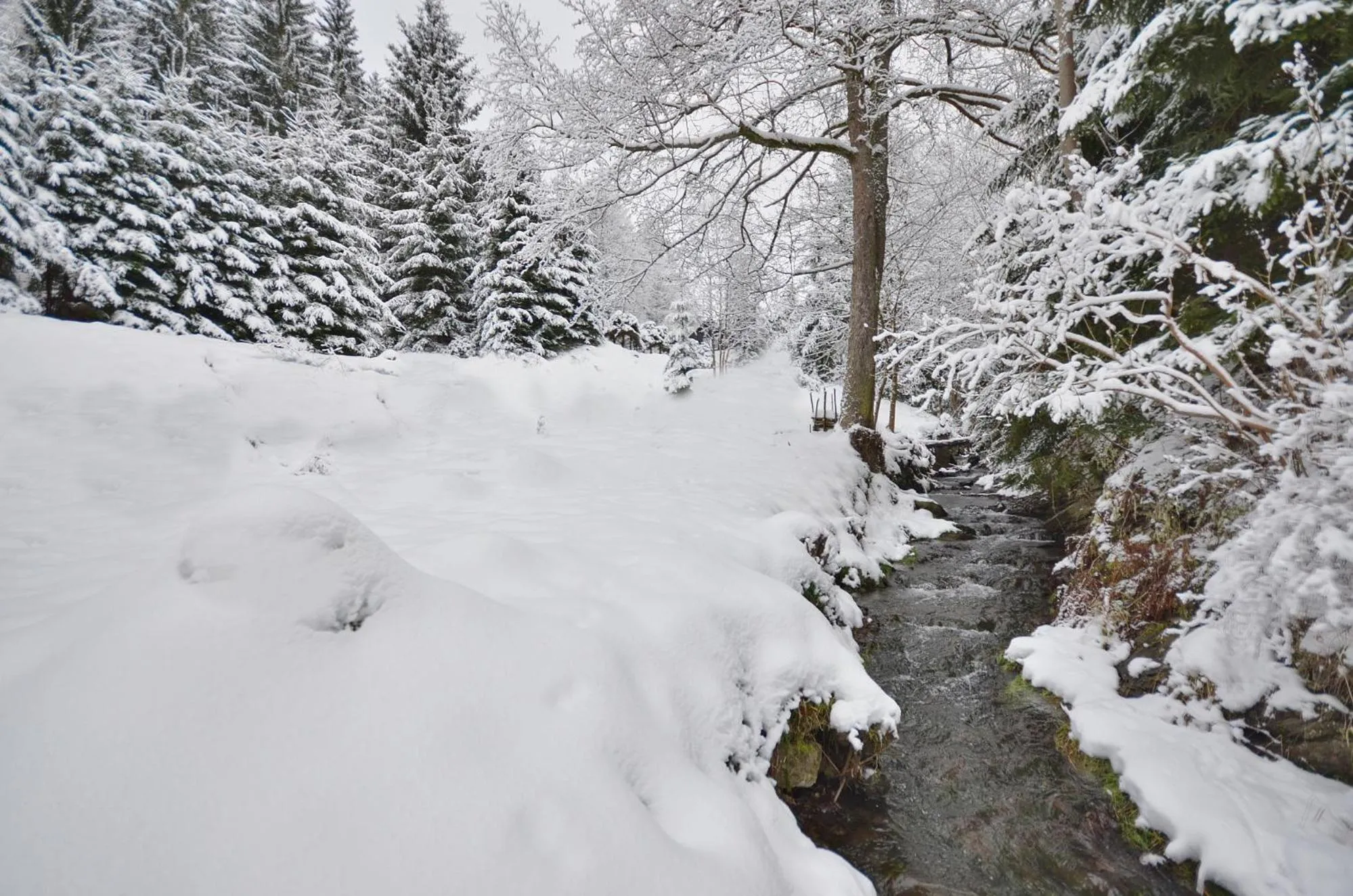 Day in Rezidence GreenHill ⃰ ⃰ ⃰