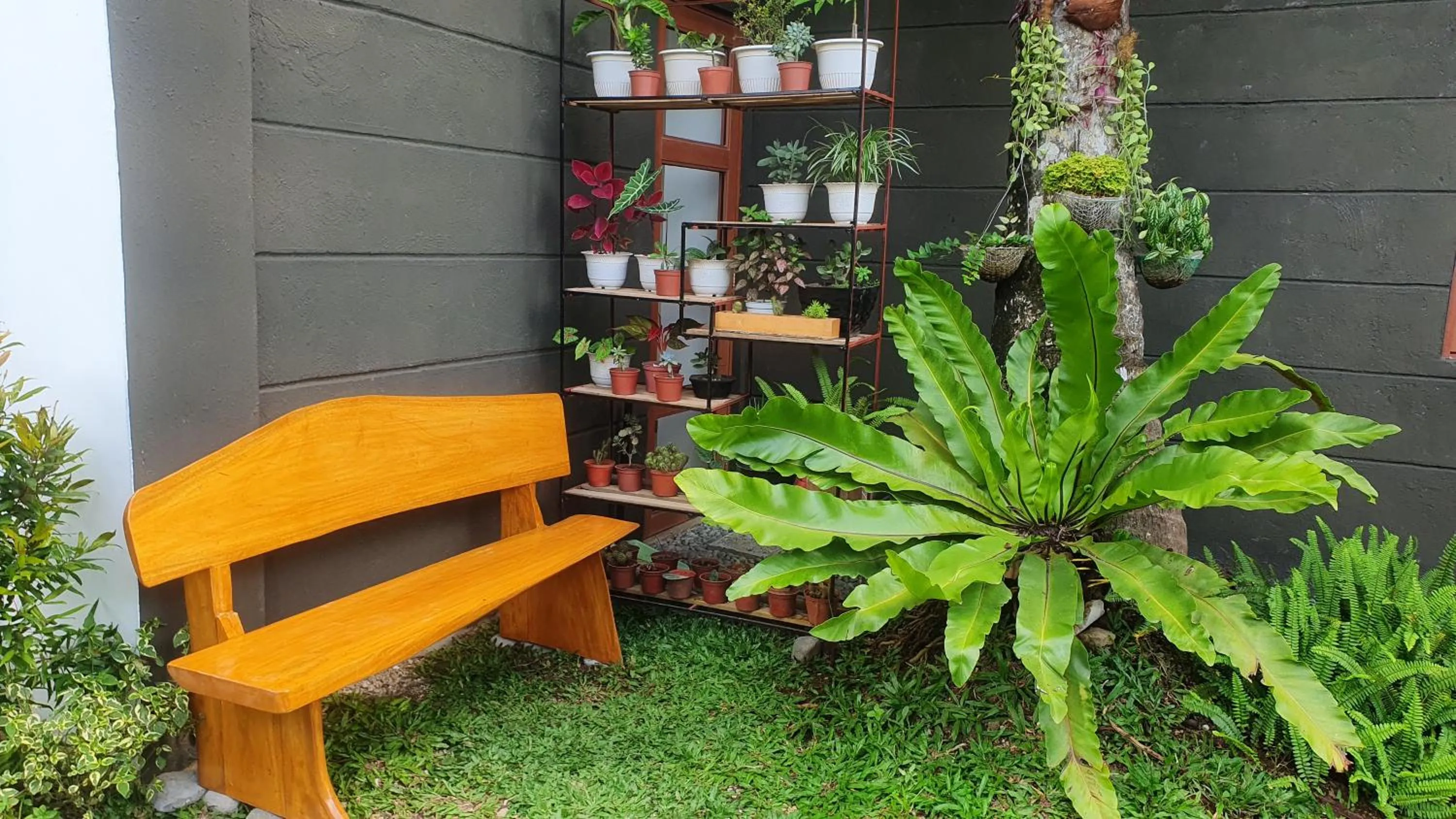 Garden in The Farm Shack by SMS Hospitality