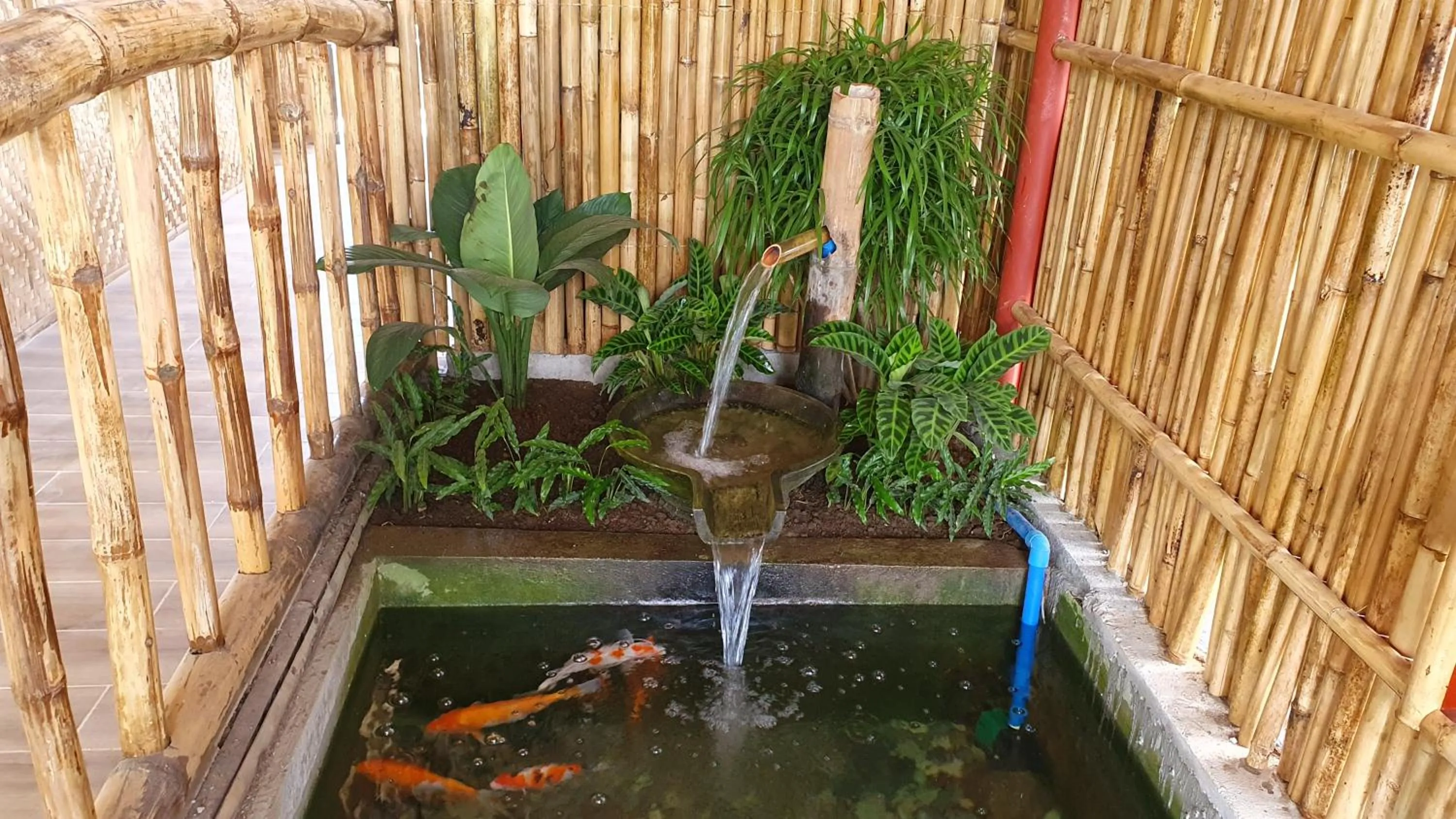 Garden in The Farm Shack by SMS Hospitality