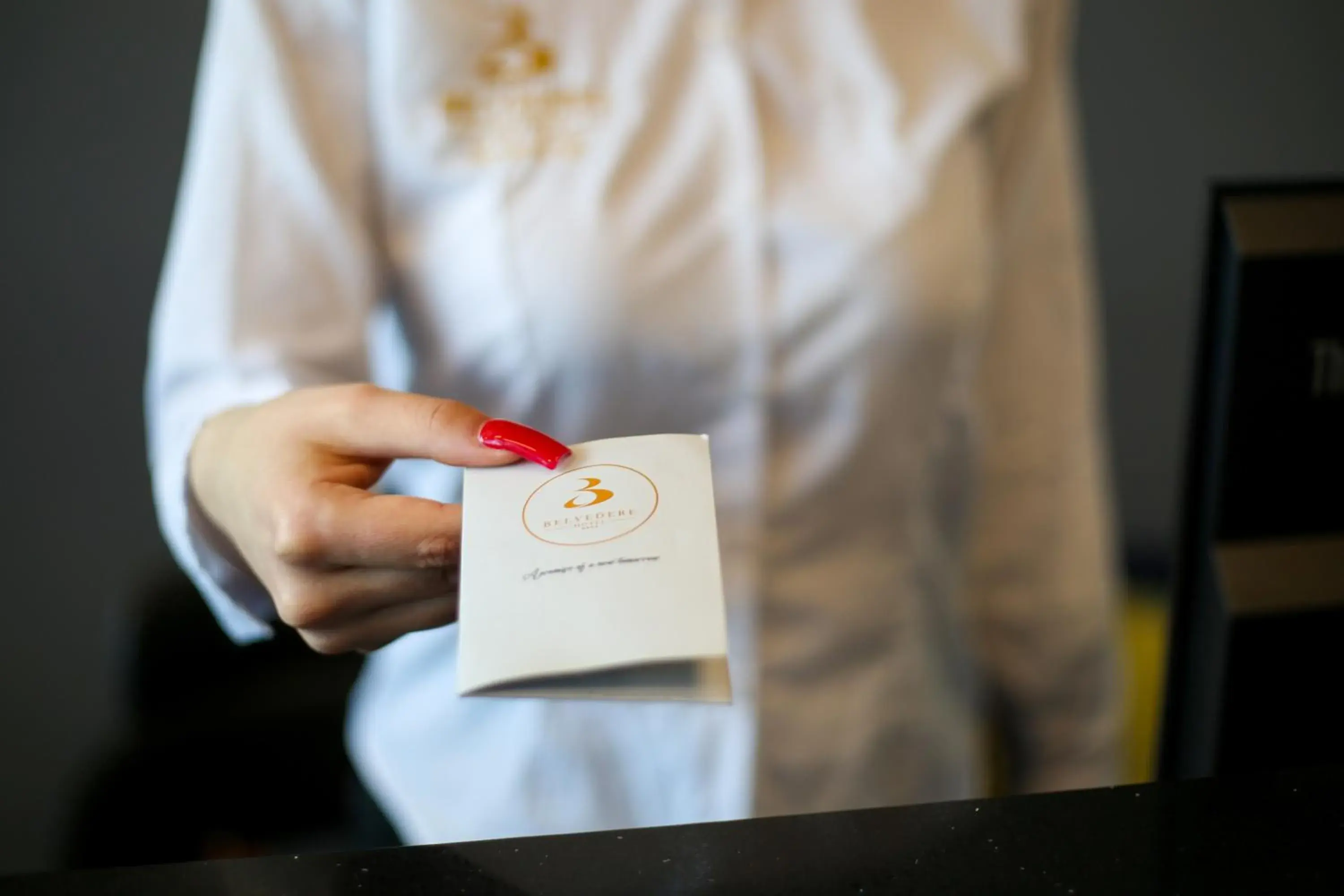 Lobby or reception in Belvedere Hotel & SPA Lobby or reception in Belvedere Hotel & SPA