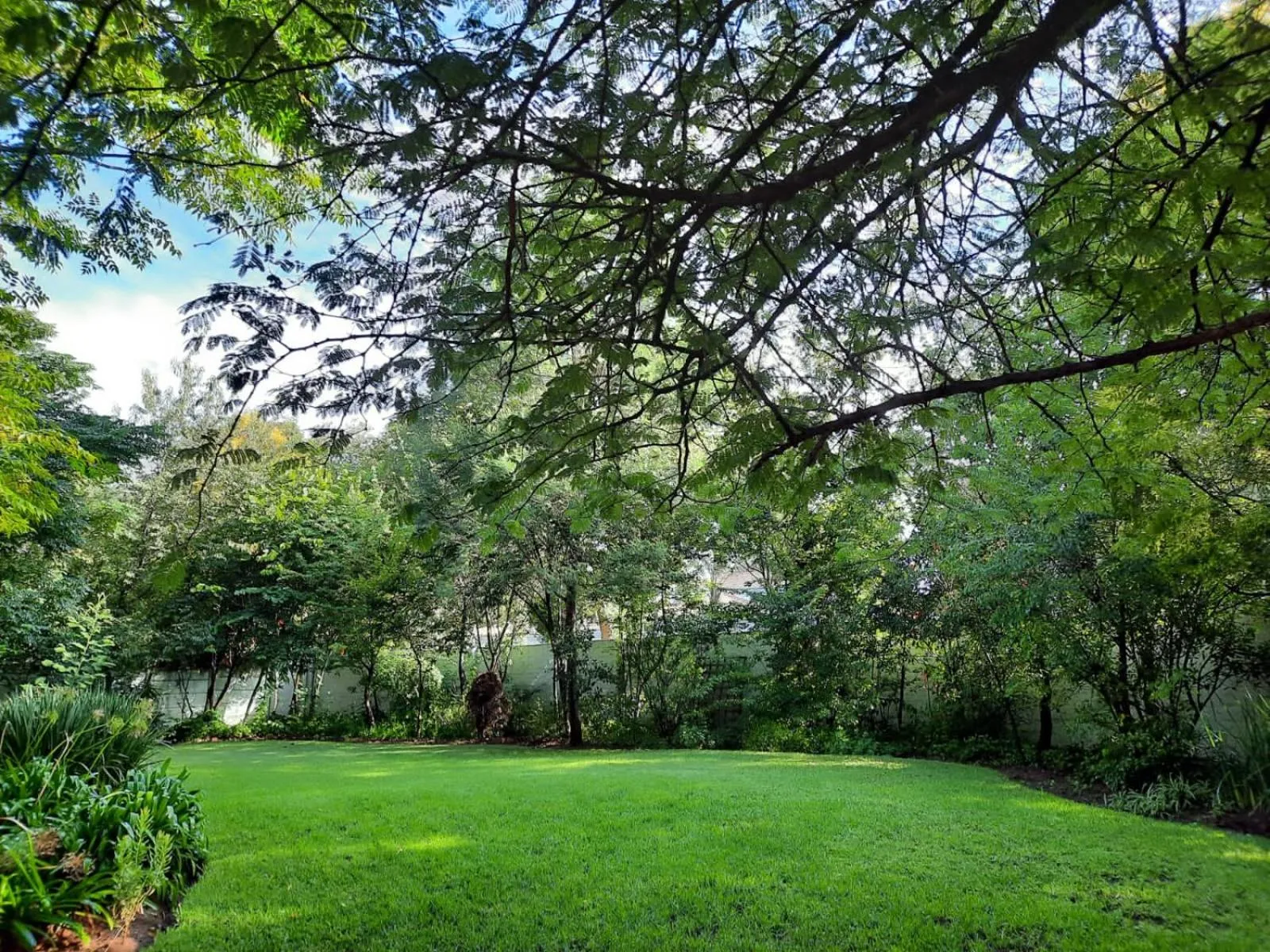 Garden view in Nel's Cottage, a private and peaceful cottage