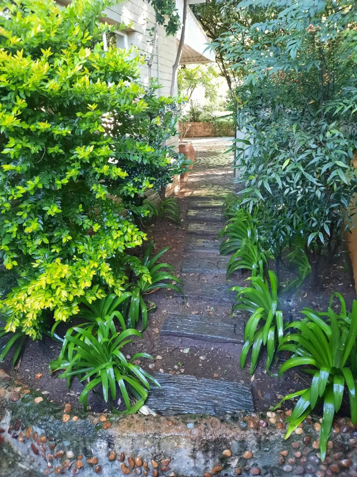 Nel's Cottage, a private and peaceful cottage