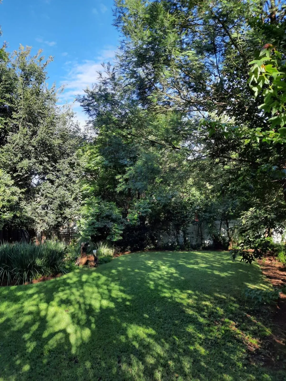 Nel's Cottage, a private and peaceful cottage