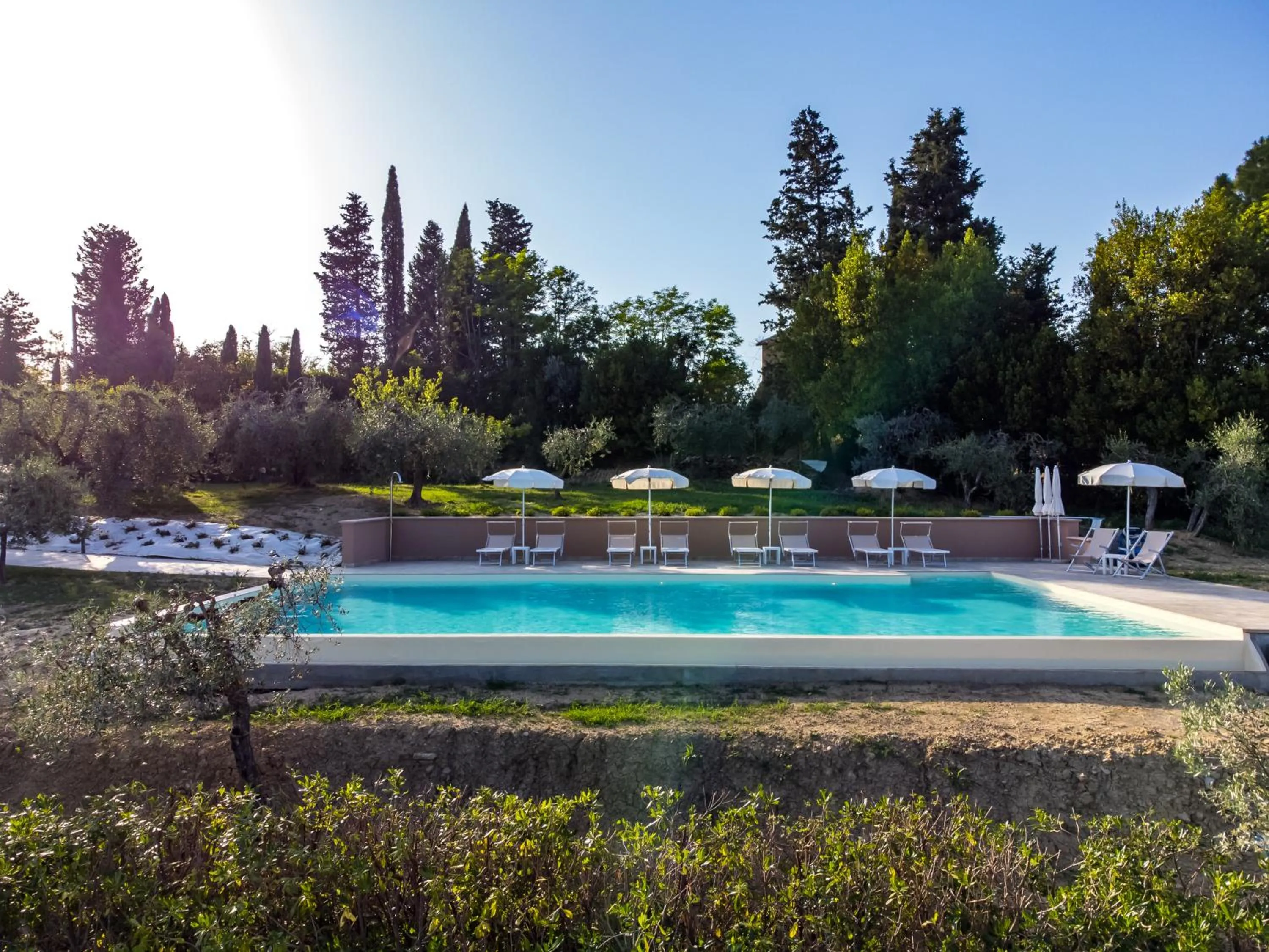 Garden view in Agriturismo La Collina degli Olivi