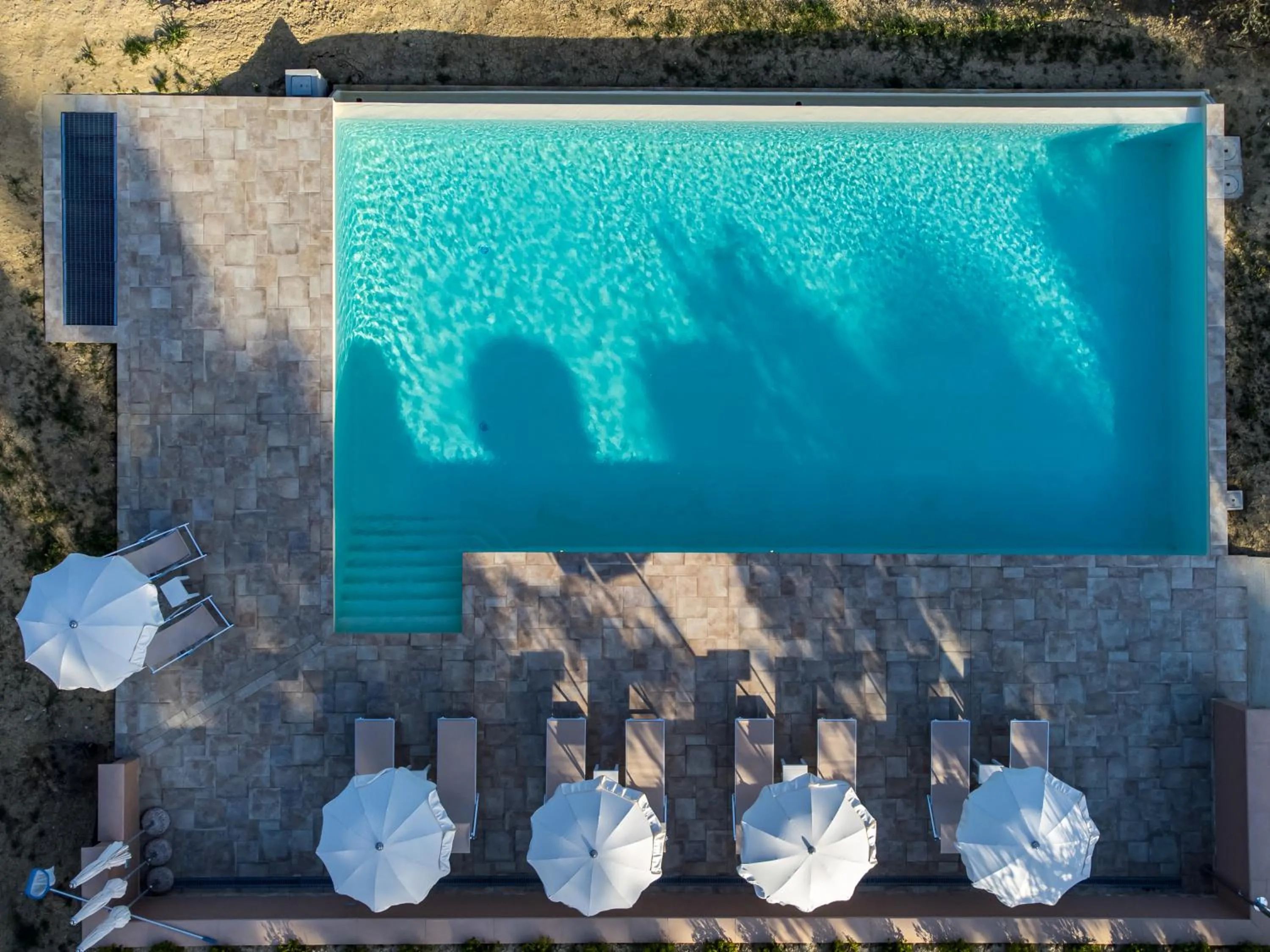 Swimming pool in Agriturismo La Collina degli Olivi