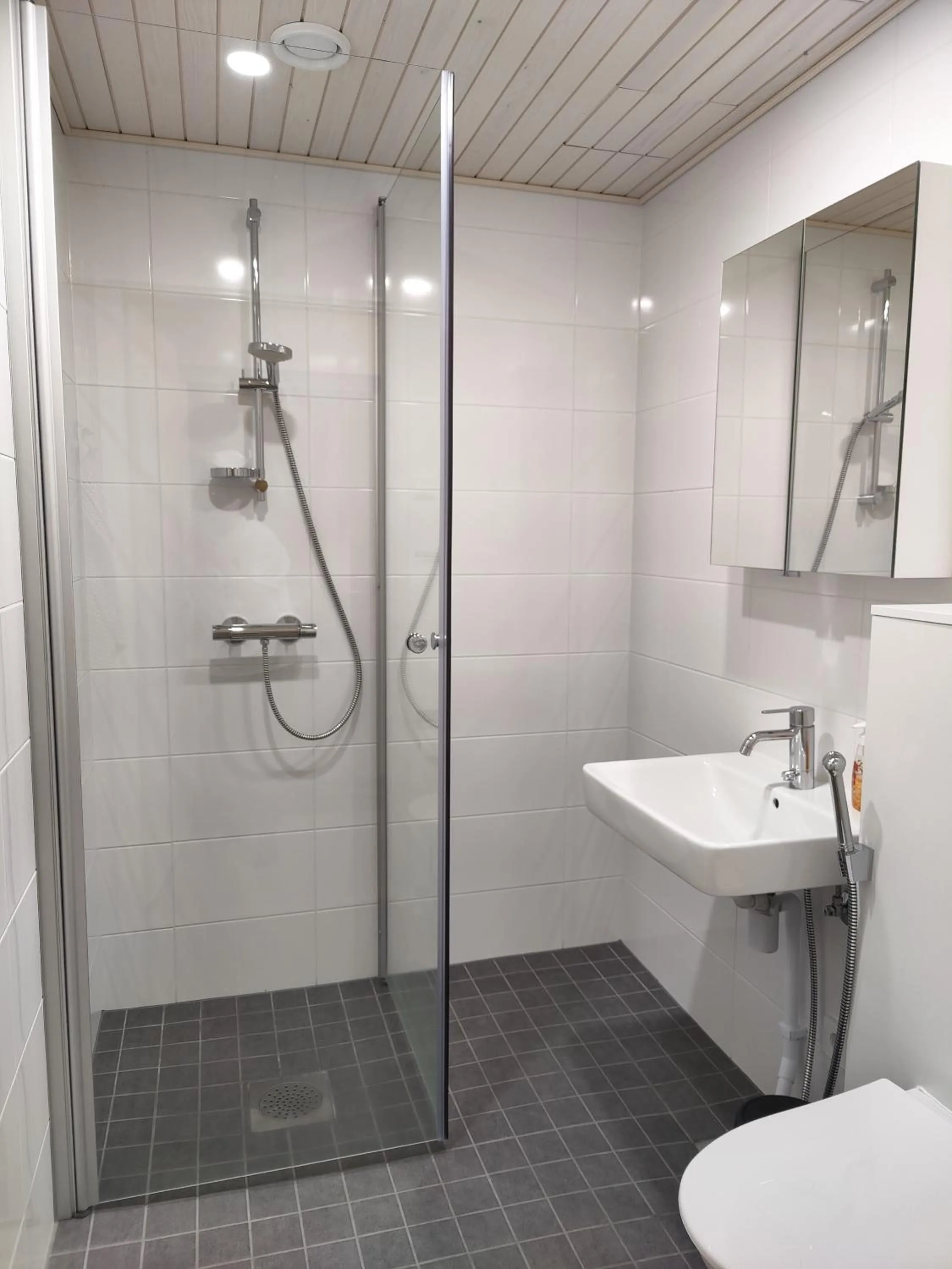 Shower in City Studio Taiga