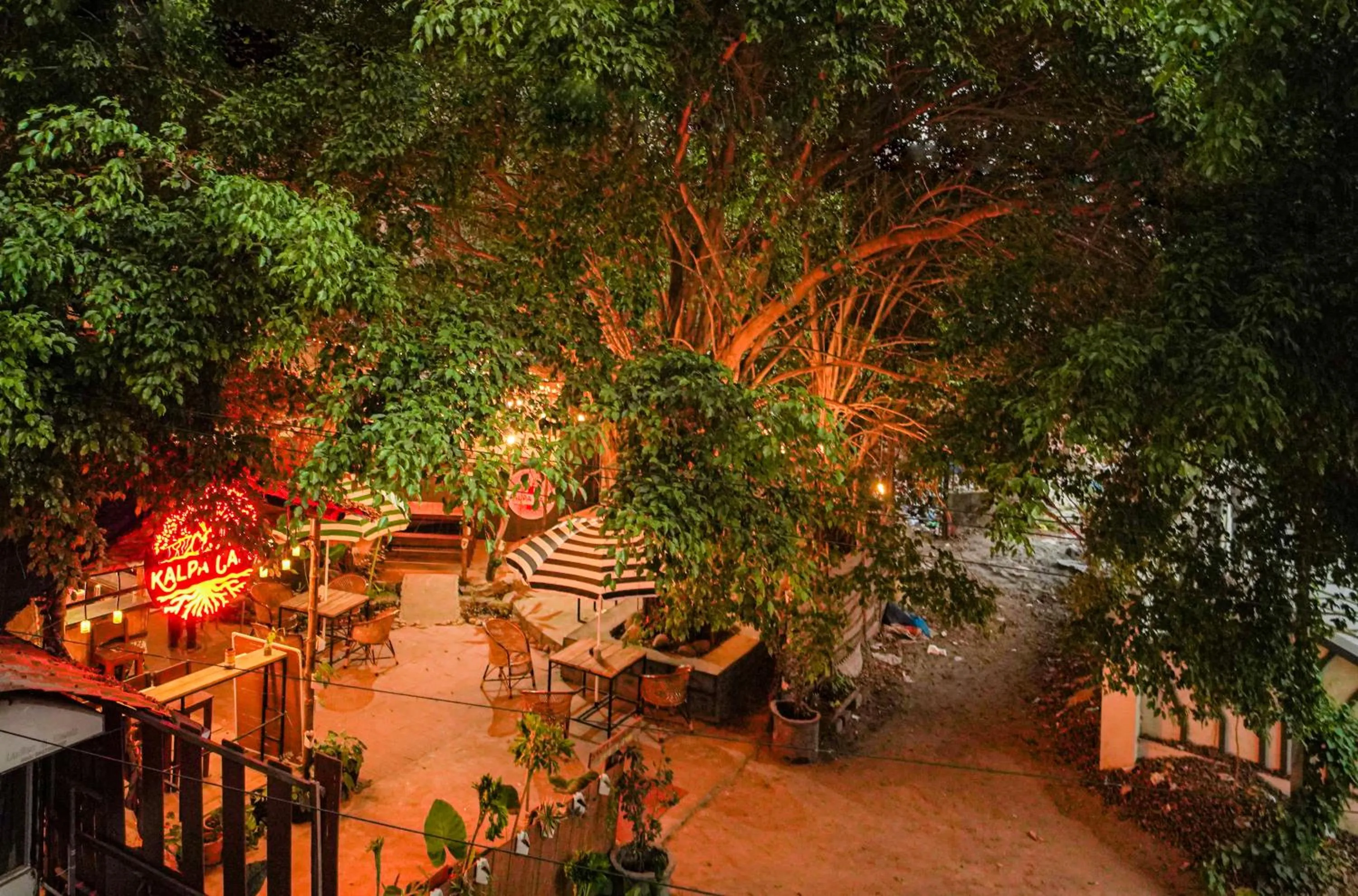 Restaurant/places to eat in Santa Maria Hostel, Fort Kochi