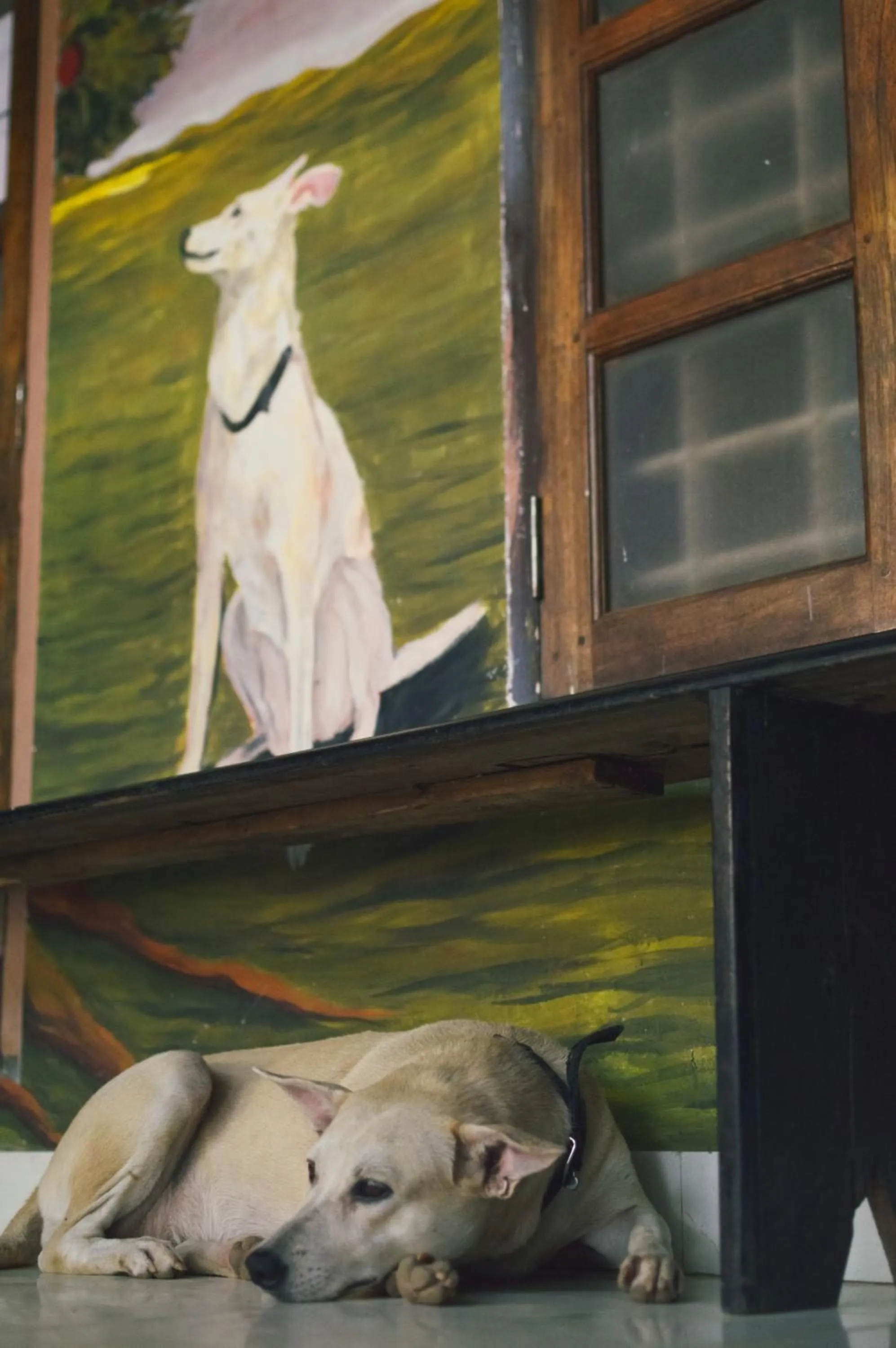 Decorative detail in Santa Maria Hostel, Fort Kochi