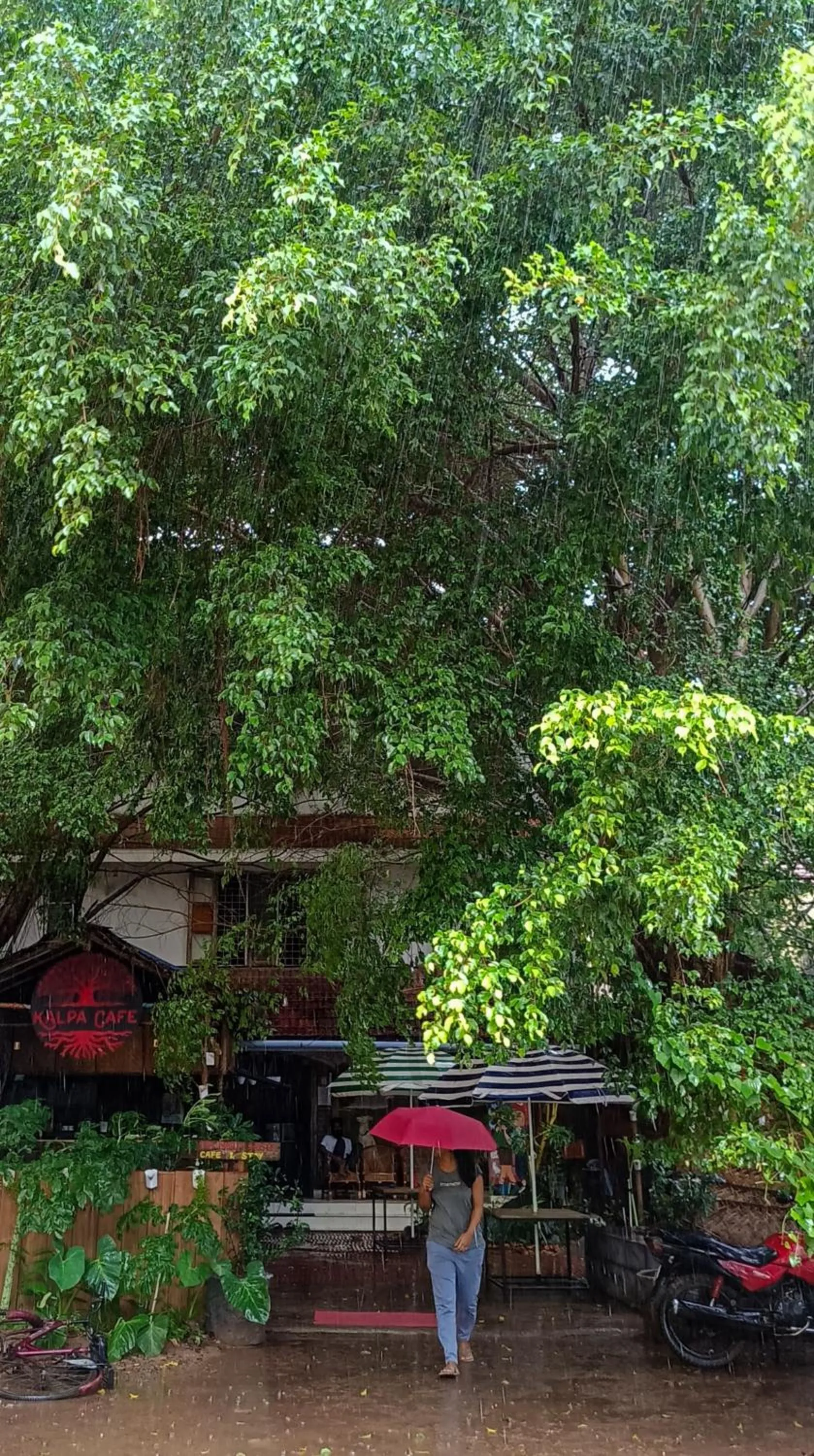 Santa Maria Hostel, Fort Kochi