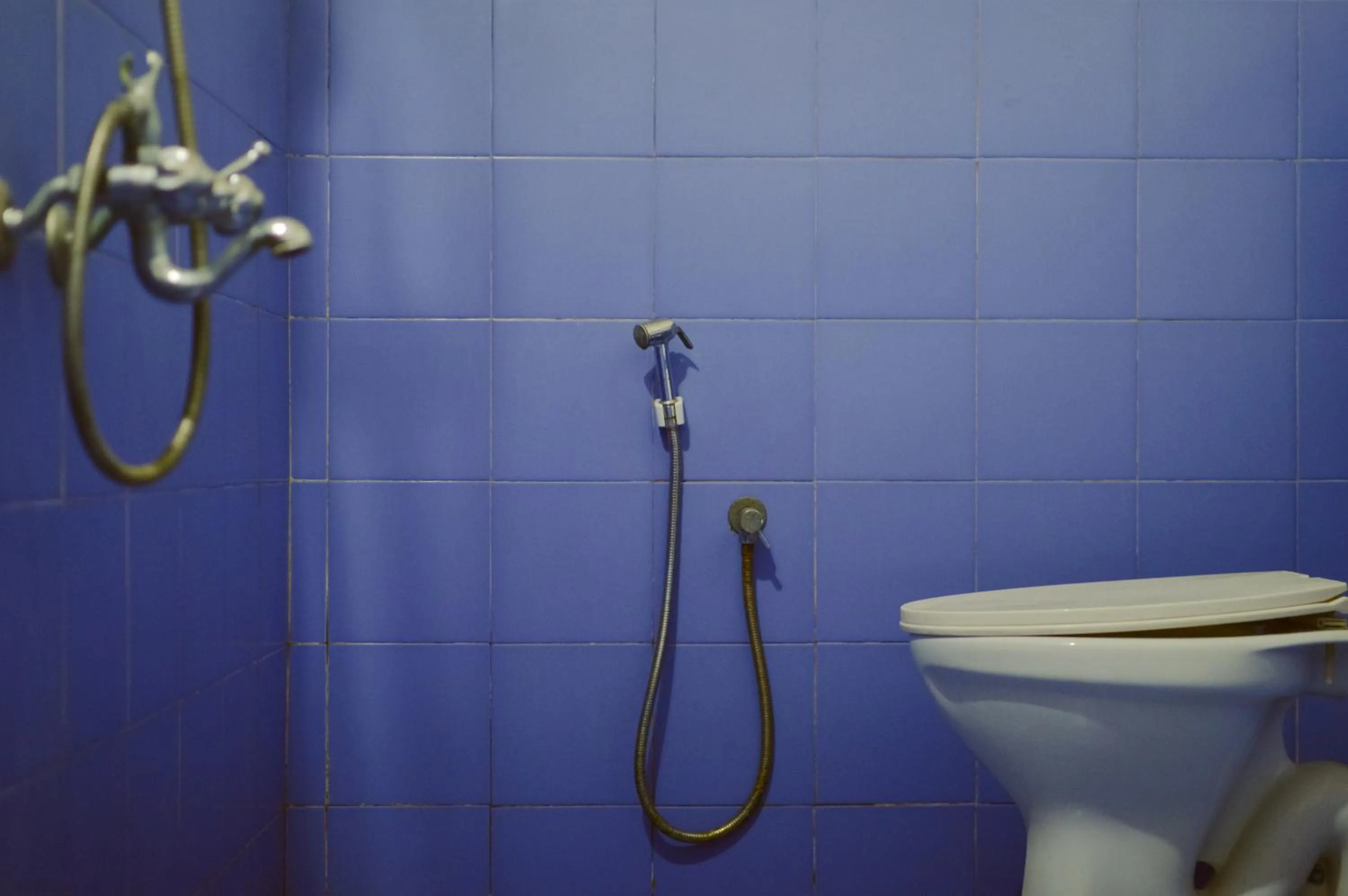 Toilet in Santa Maria Hostel, Fort Kochi