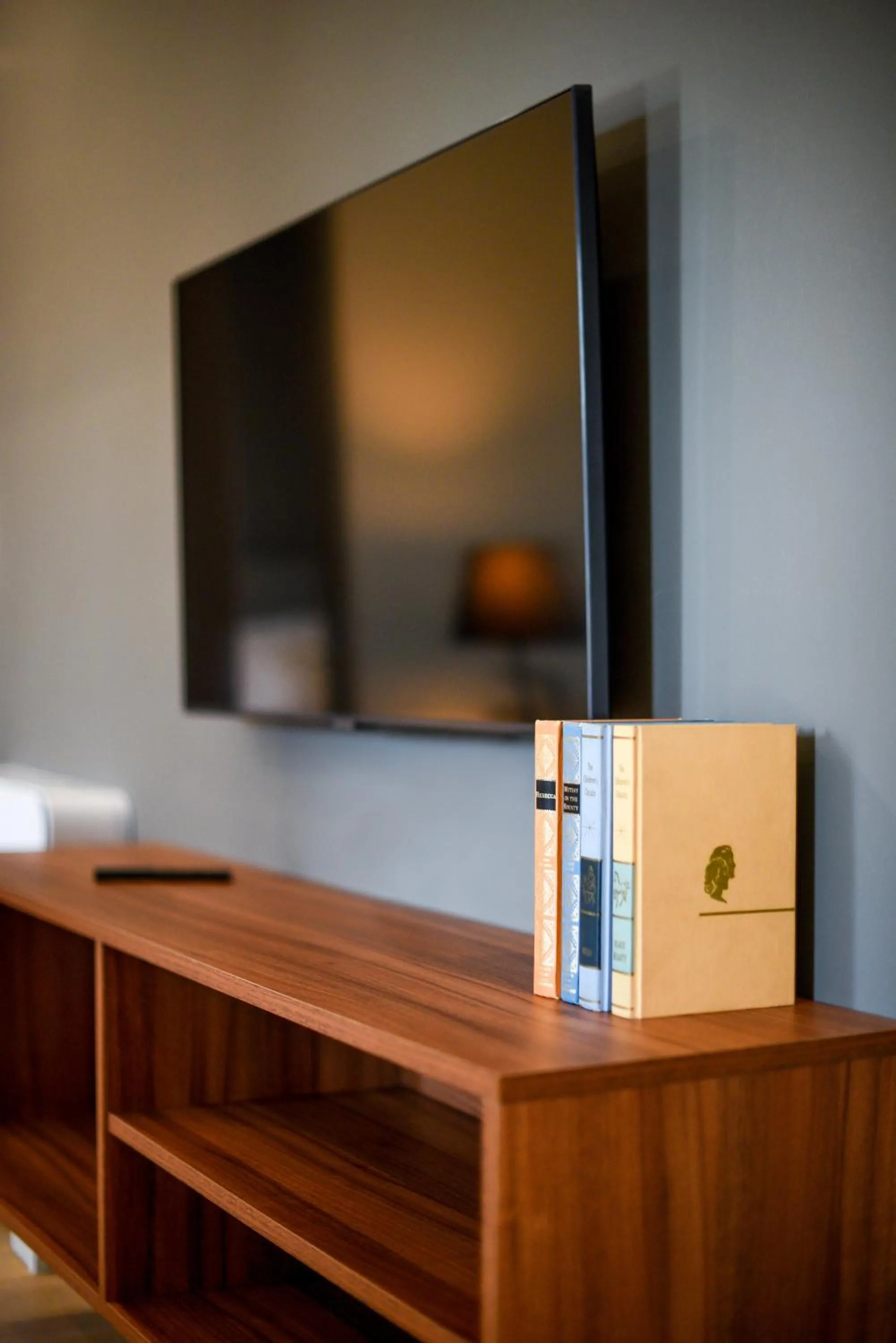 TV and multimedia in Ambient Living Lofts
