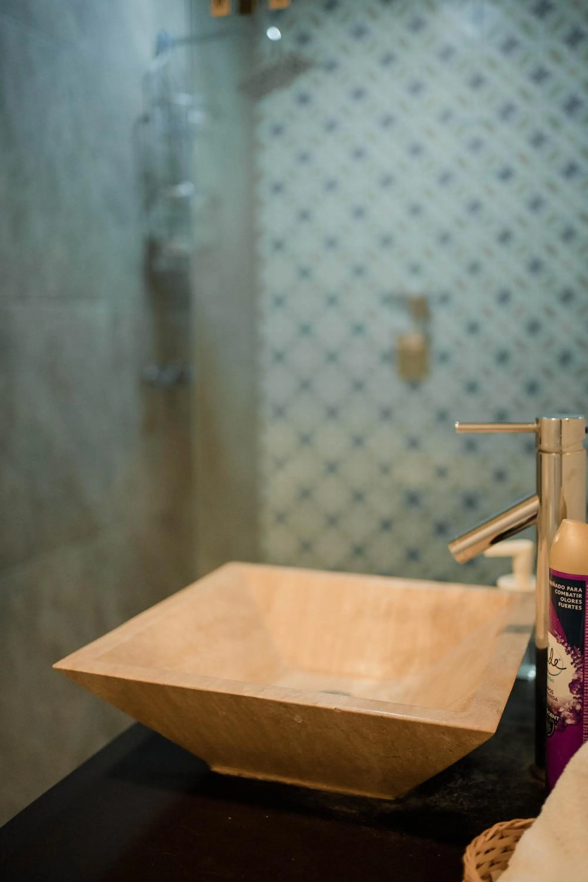 Bathroom in Tierra Mia Hacienda Ruta del Vino