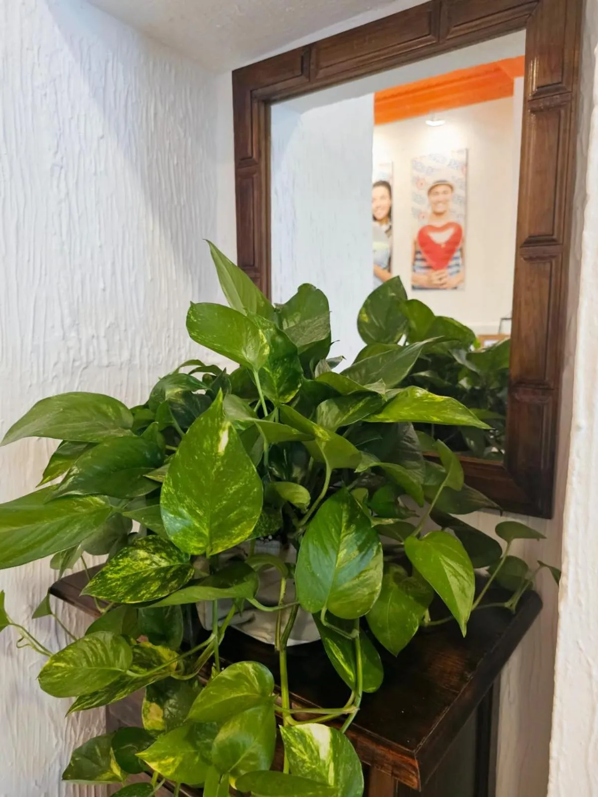 Decorative detail in Arc House Granada