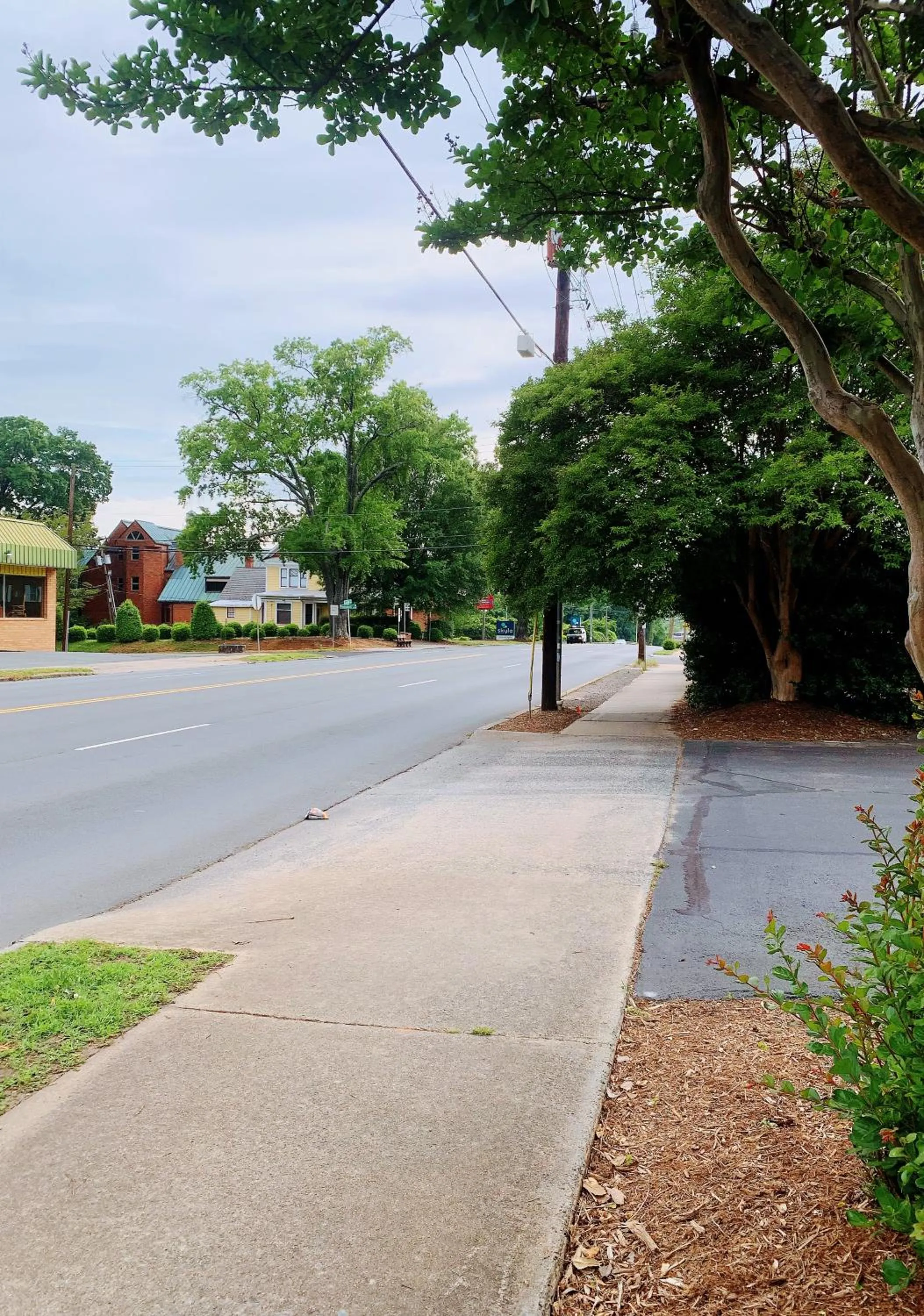 Uptown area, Cozy king Suite, quiet and private, free parking, walk to restaurants