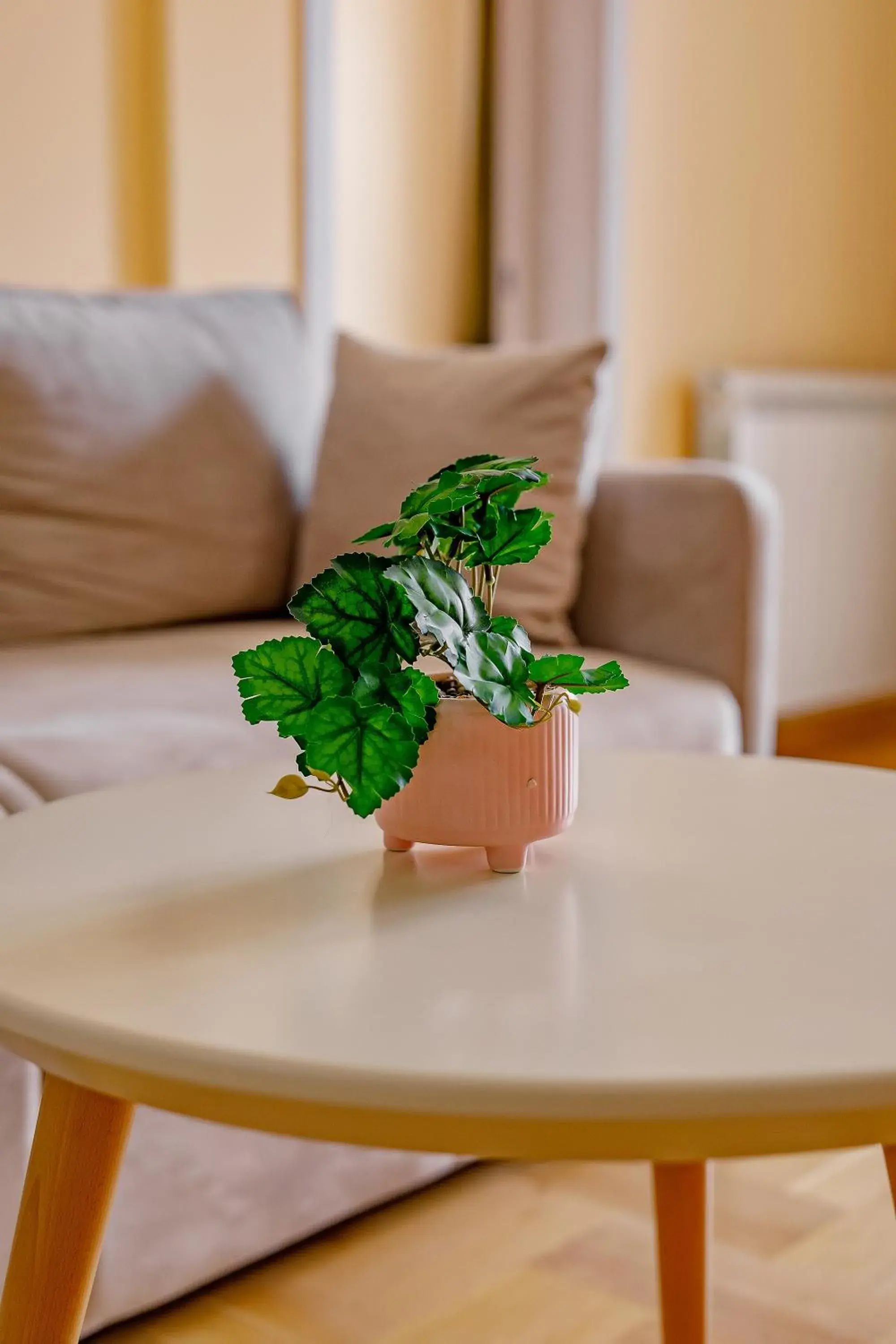 Living room in AirStar Living room in AirStar