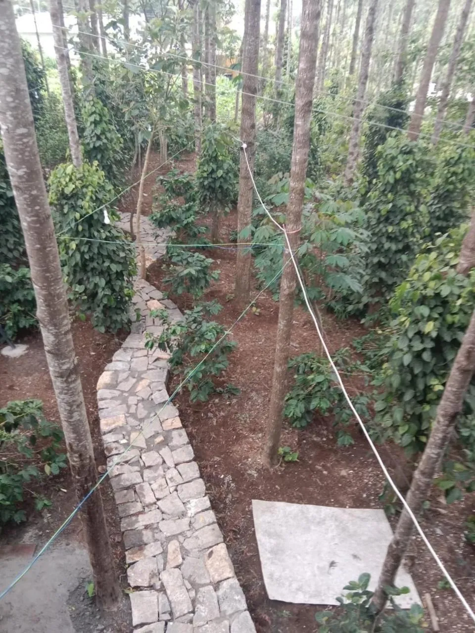 Natural landscape in Cholai Resorts & Hotels