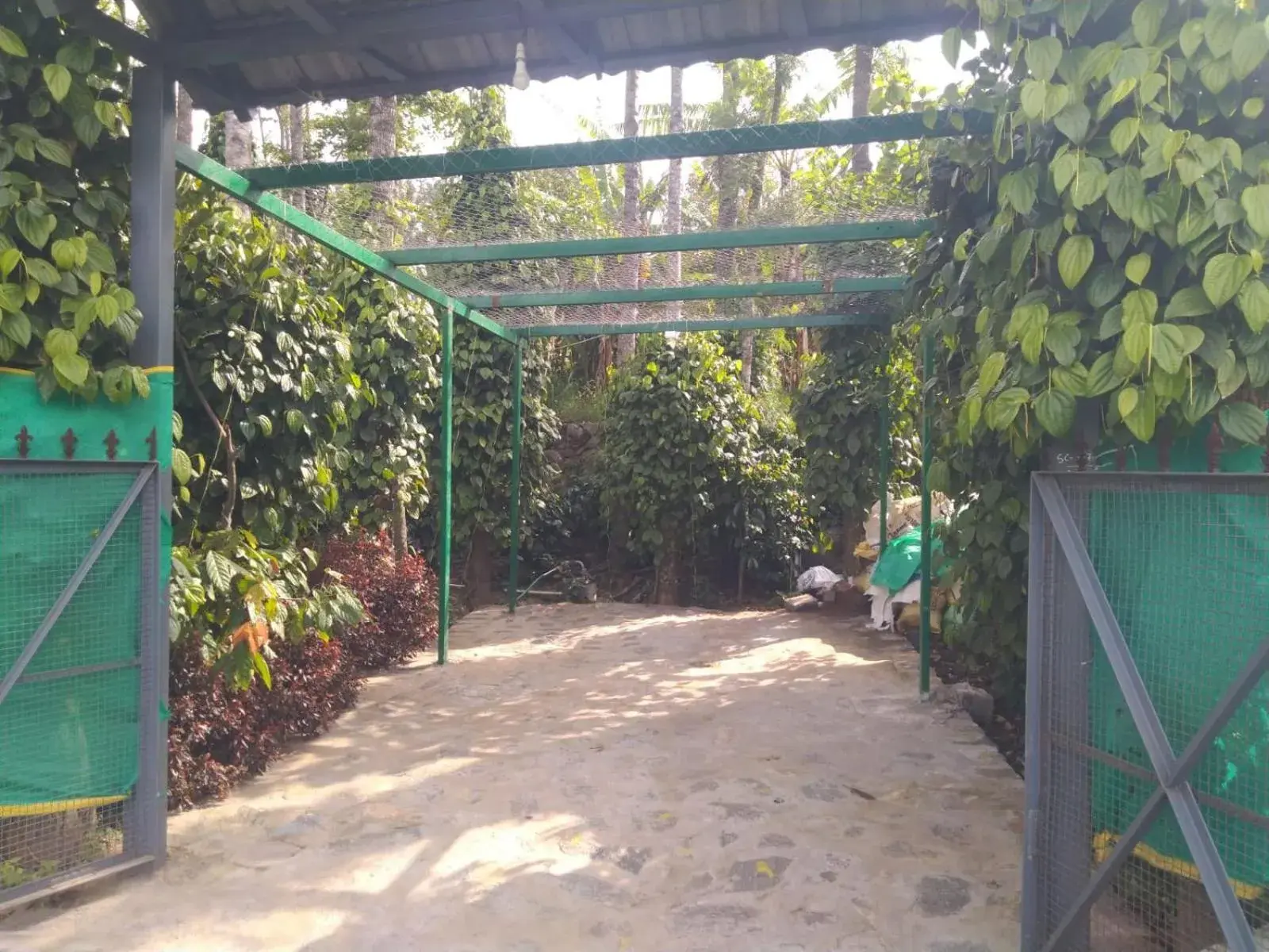 Facade/entrance in Cholai Resorts & Hotels Facade/entrance in Cholai Resorts & Hotels