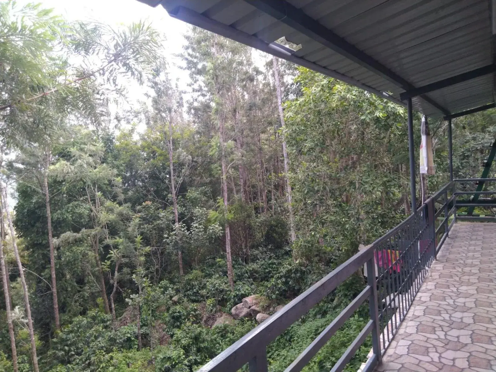 View (from property/room) in Cholai Resorts & Hotels View (from property/room) in Cholai Resorts & Hotels